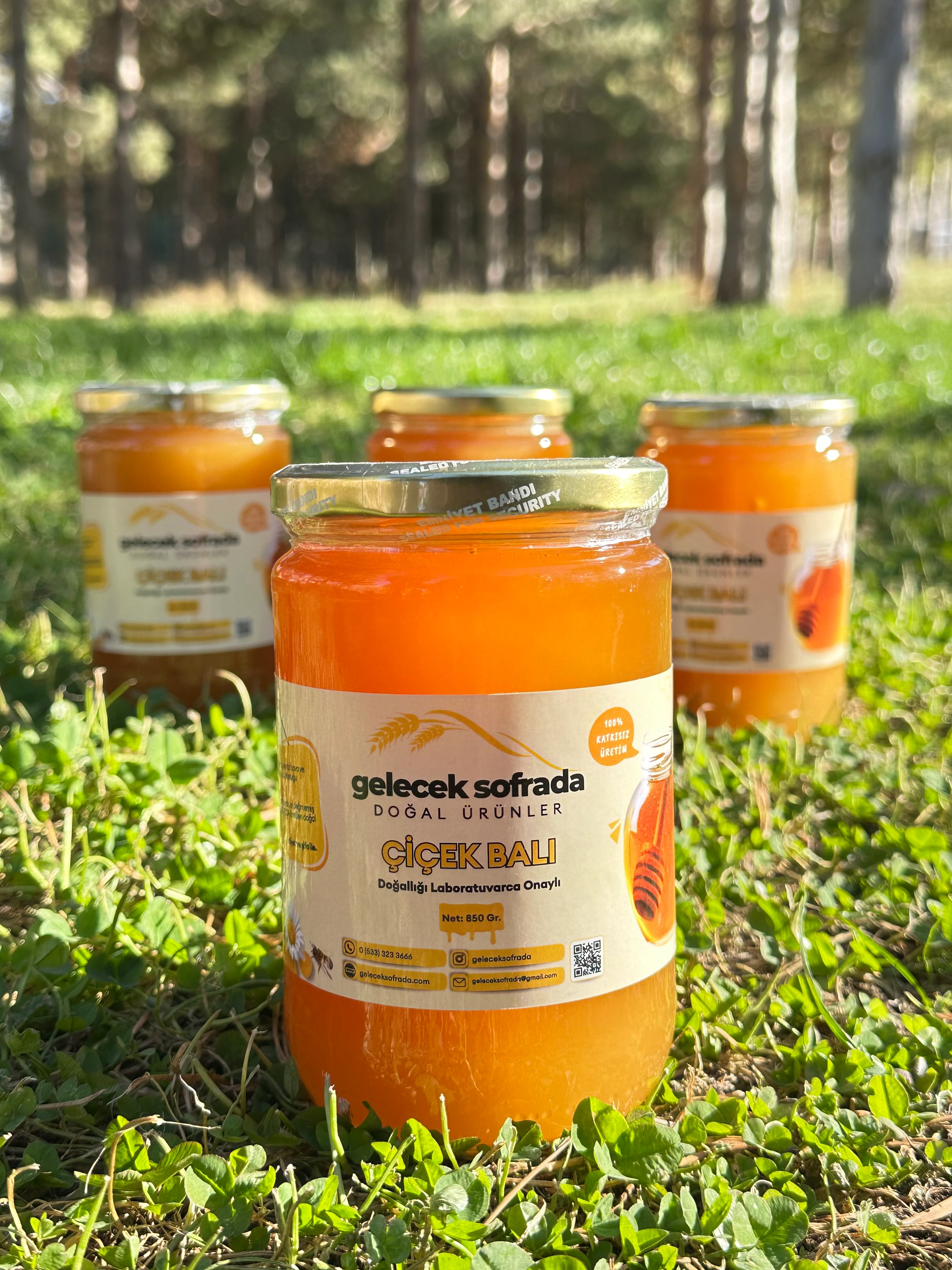 Doğal İkili Şifalı Bal Paketi – Kestane & Ihlamur 850 gr. + Ham Çiçek Balı 850 gr.