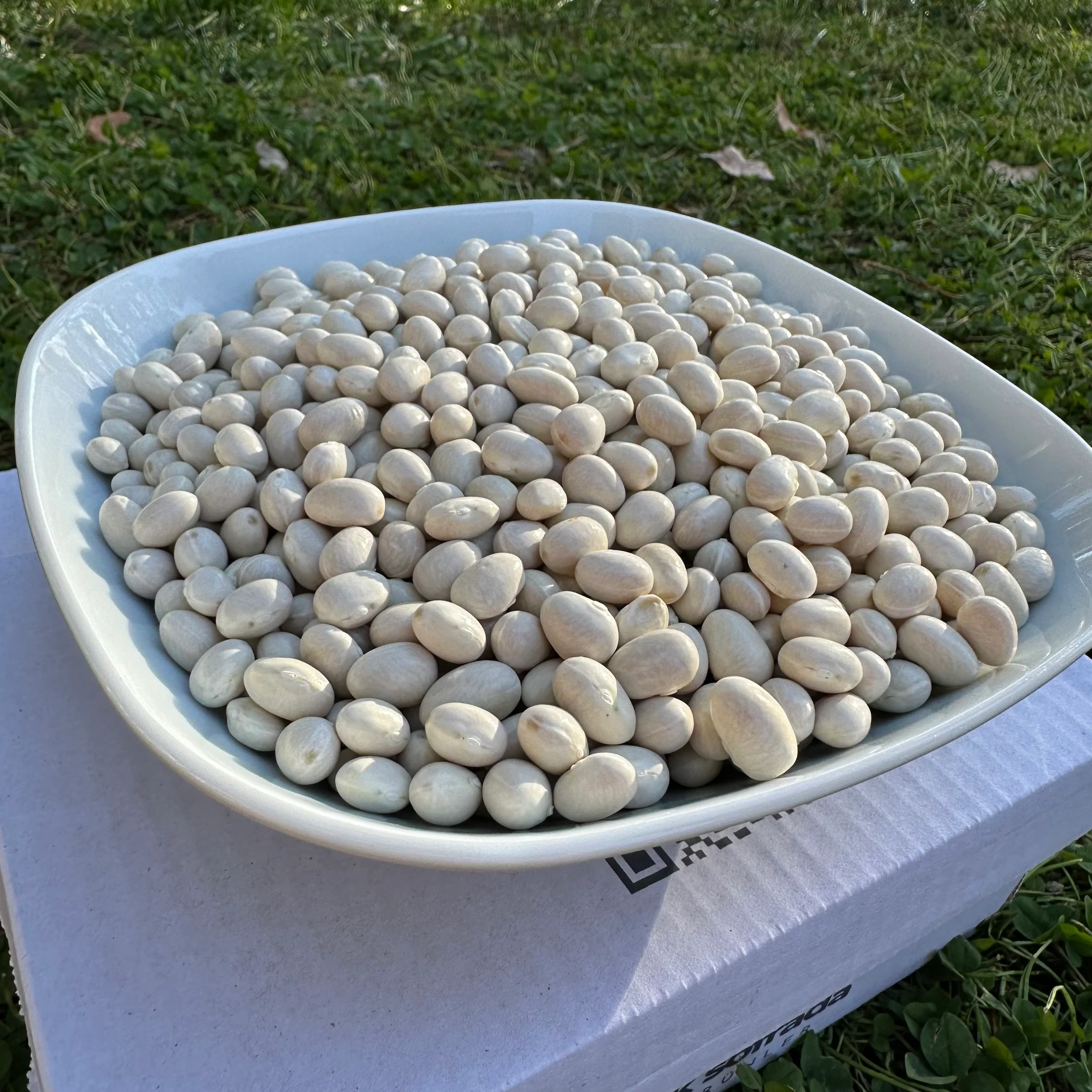 %100 ORGANİK COĞRAFİ İŞARETLİ AKKUŞ ŞEKER FASÜLYESİ 1KG.