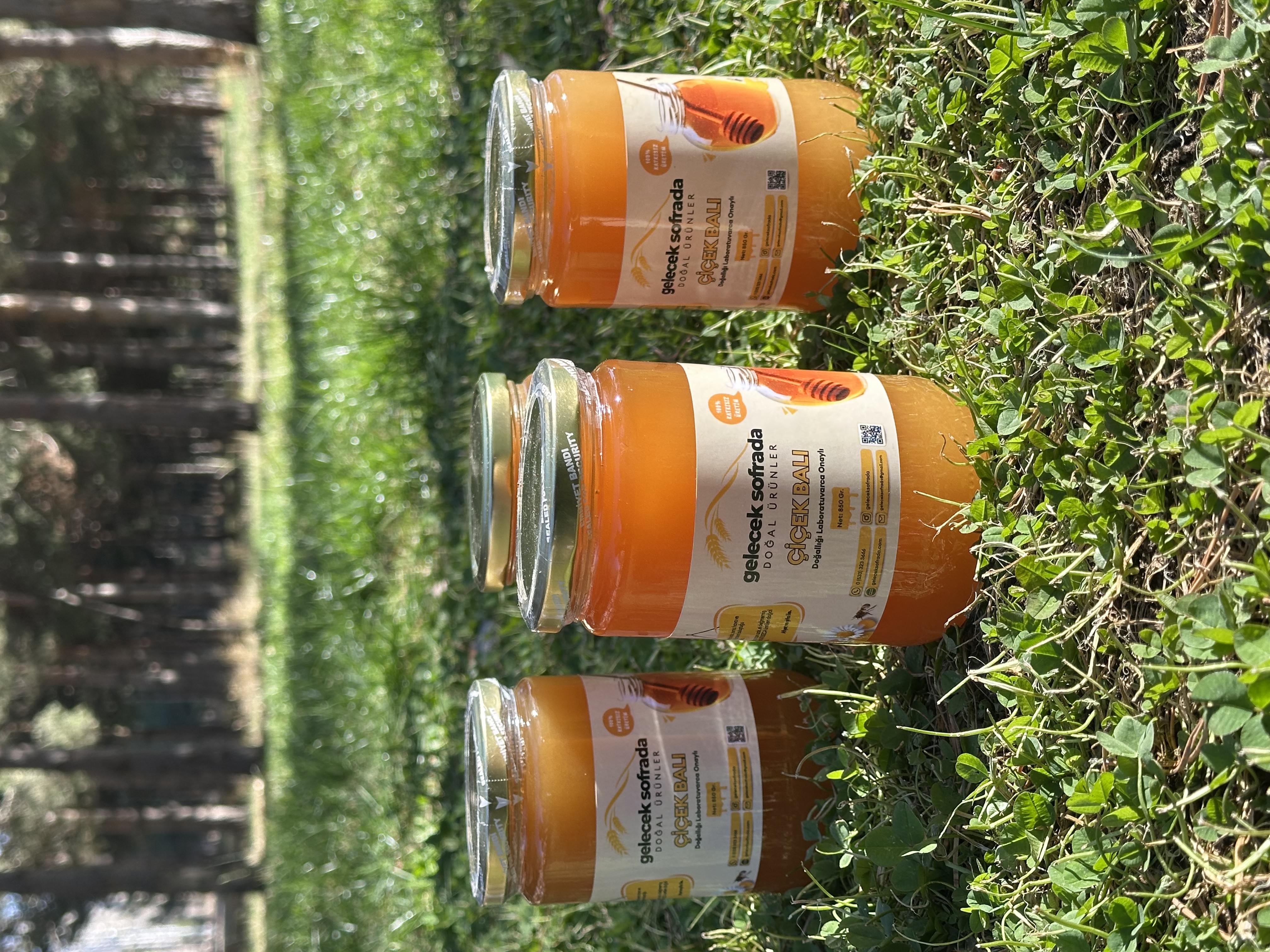 Doğal İkili Şifalı Bal Paketi – Kestane & Ihlamur 850 gr. + Ham Çiçek Balı 850 gr.