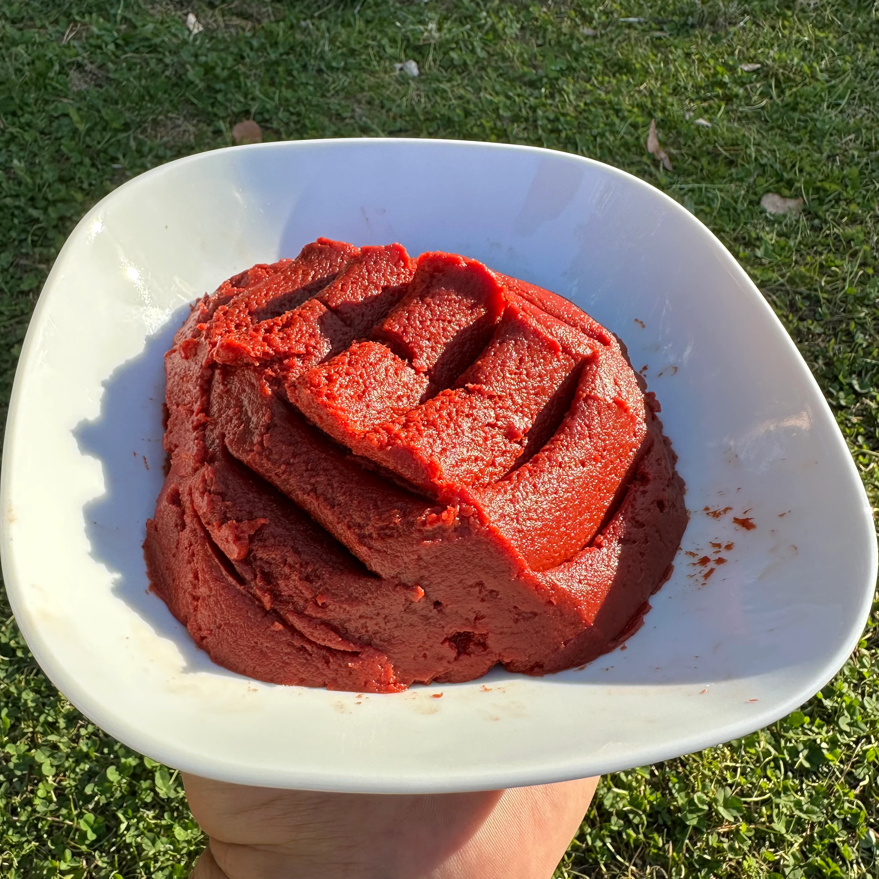 Doğal Köy Usulü Biber Salçası 1500 gr.