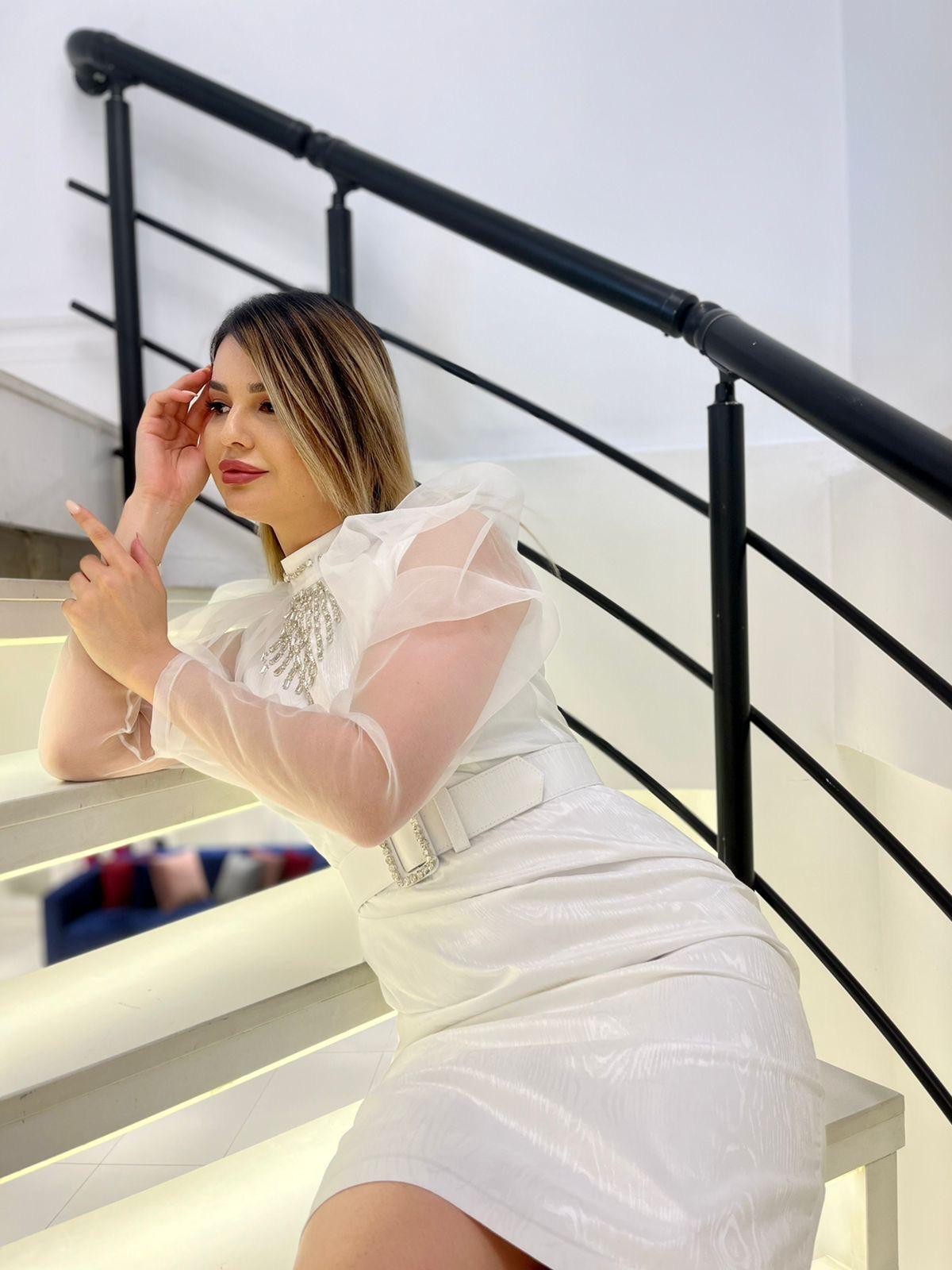 2565 KOL ORGANZE DETAYLI ELBİSE 