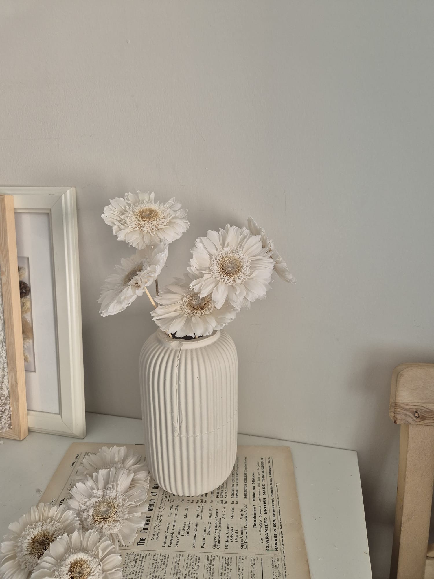 GERBERA ŞOKLANMIŞ BEYAZ ÇİÇEK ( 1 ADET )