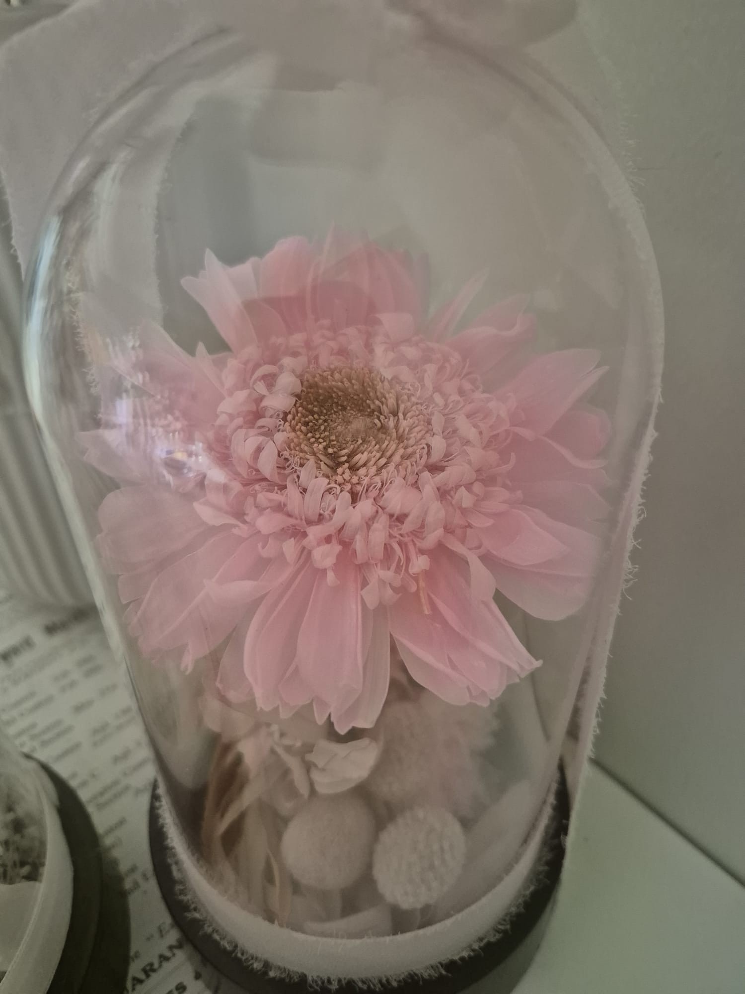 Pembe Şoklanmış Ayçiçek Ve Şoklanış Çiçekli Faunus Hediyelik