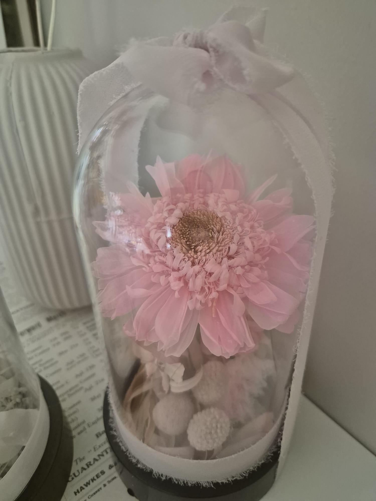 Pembe Şoklanmış Ayçiçek Ve Şoklanış Çiçekli Faunus Hediyelik
