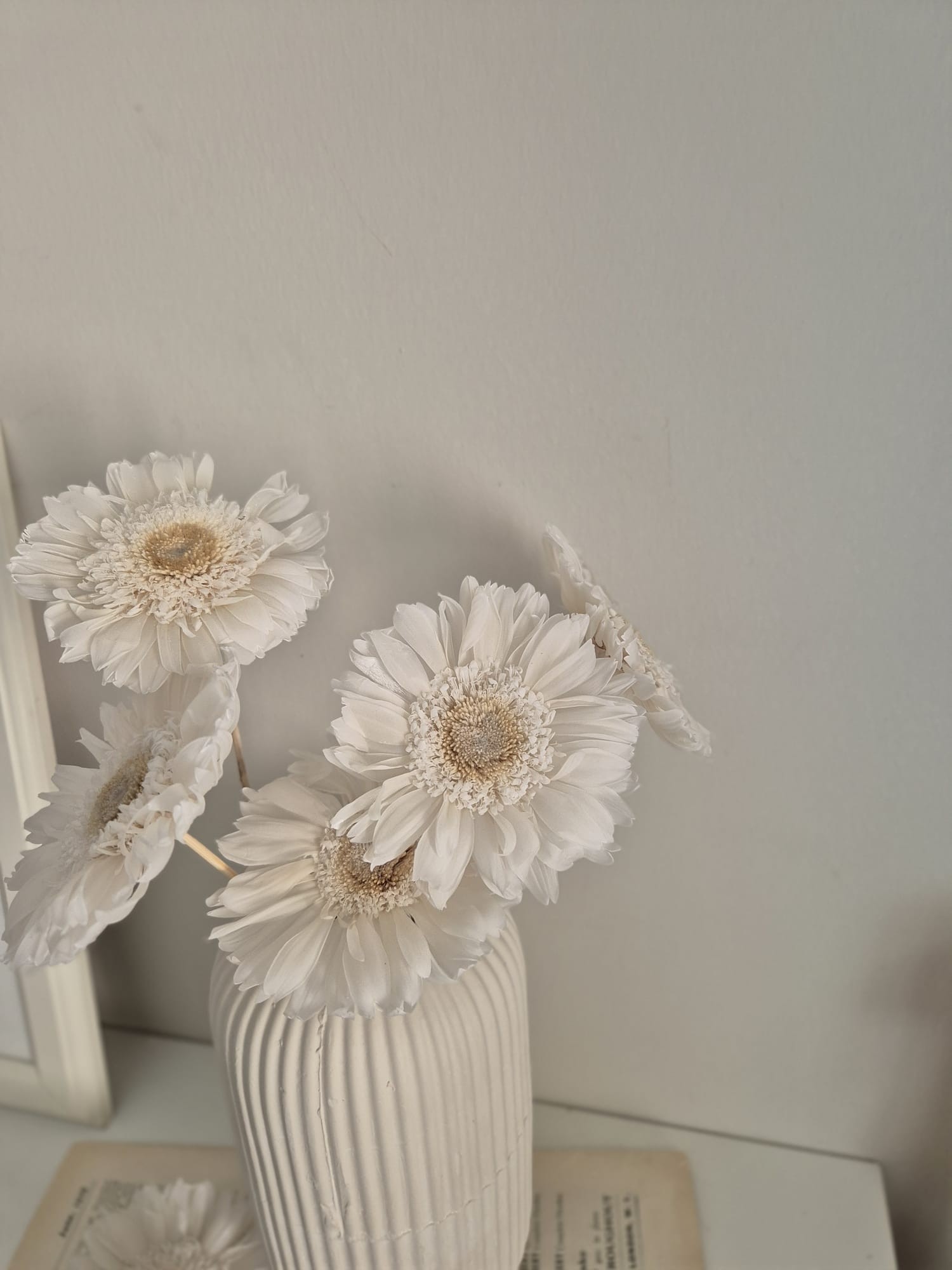 GERBERA ŞOKLANMIŞ BEYAZ ÇİÇEK ( 1 ADET )