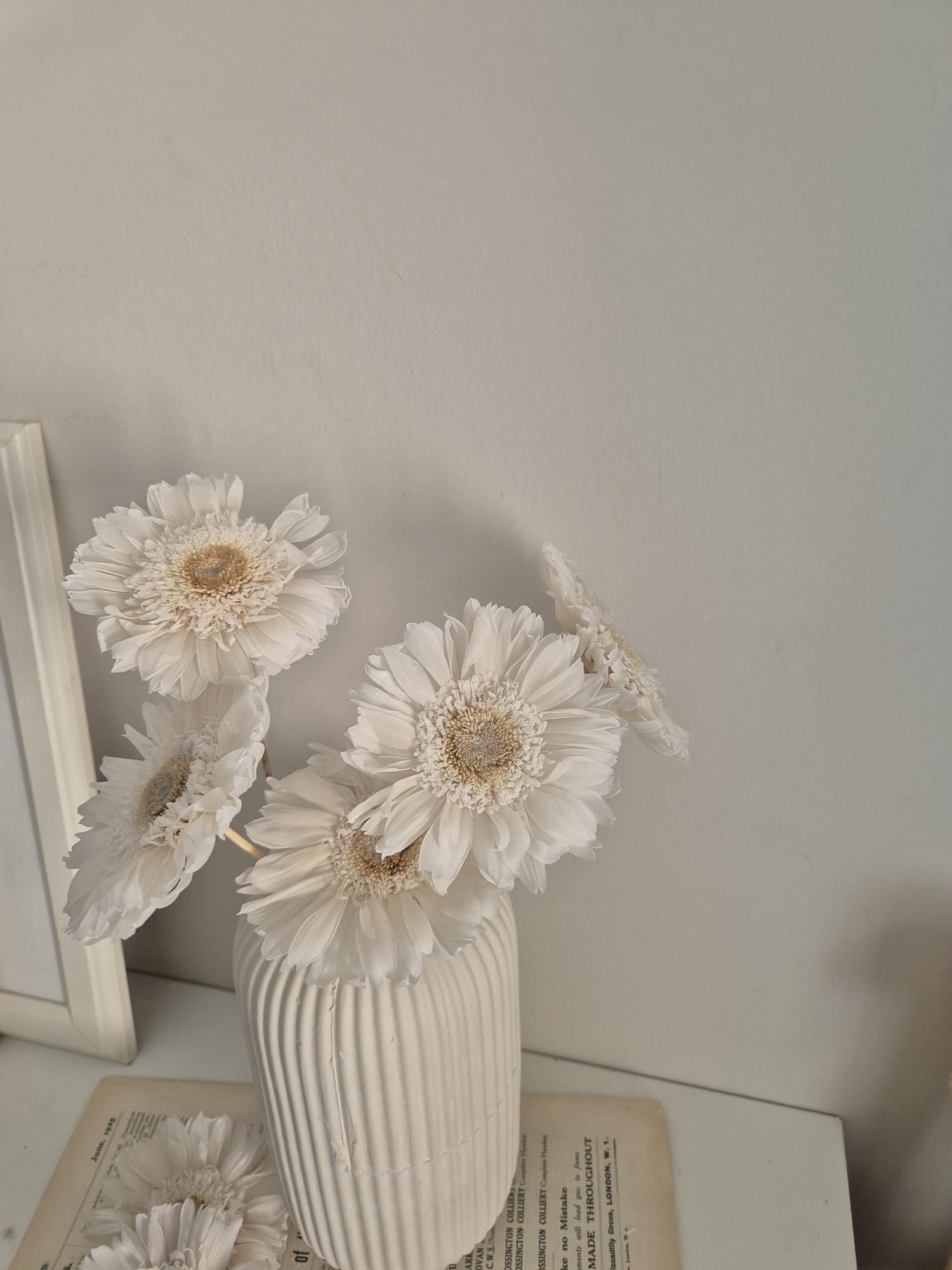 GERBERA ŞOKLANMIŞ BEYAZ ÇİÇEK ( 1 ADET )