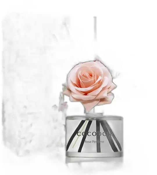 COCODOR Cocodor Rose Flower Difuzor Rose Perfume 200ml