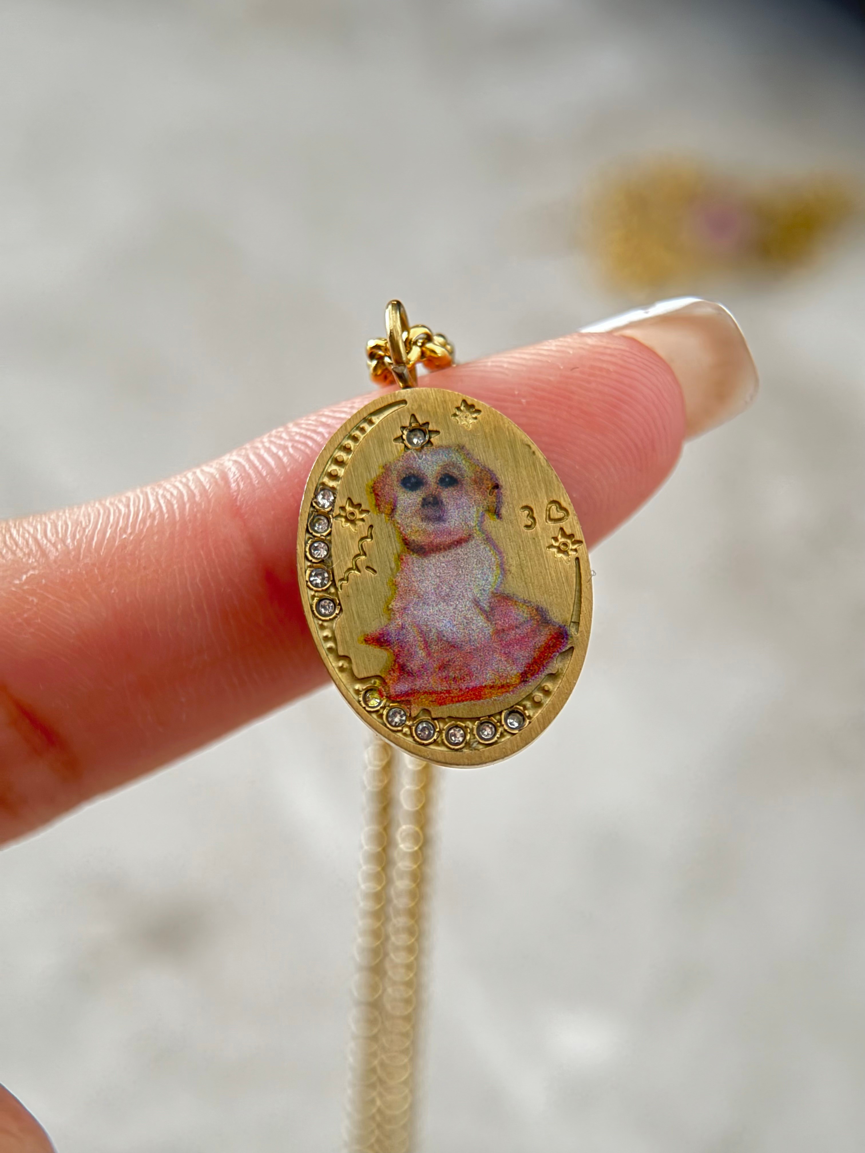 Çelik Köpek Detay Kolye
