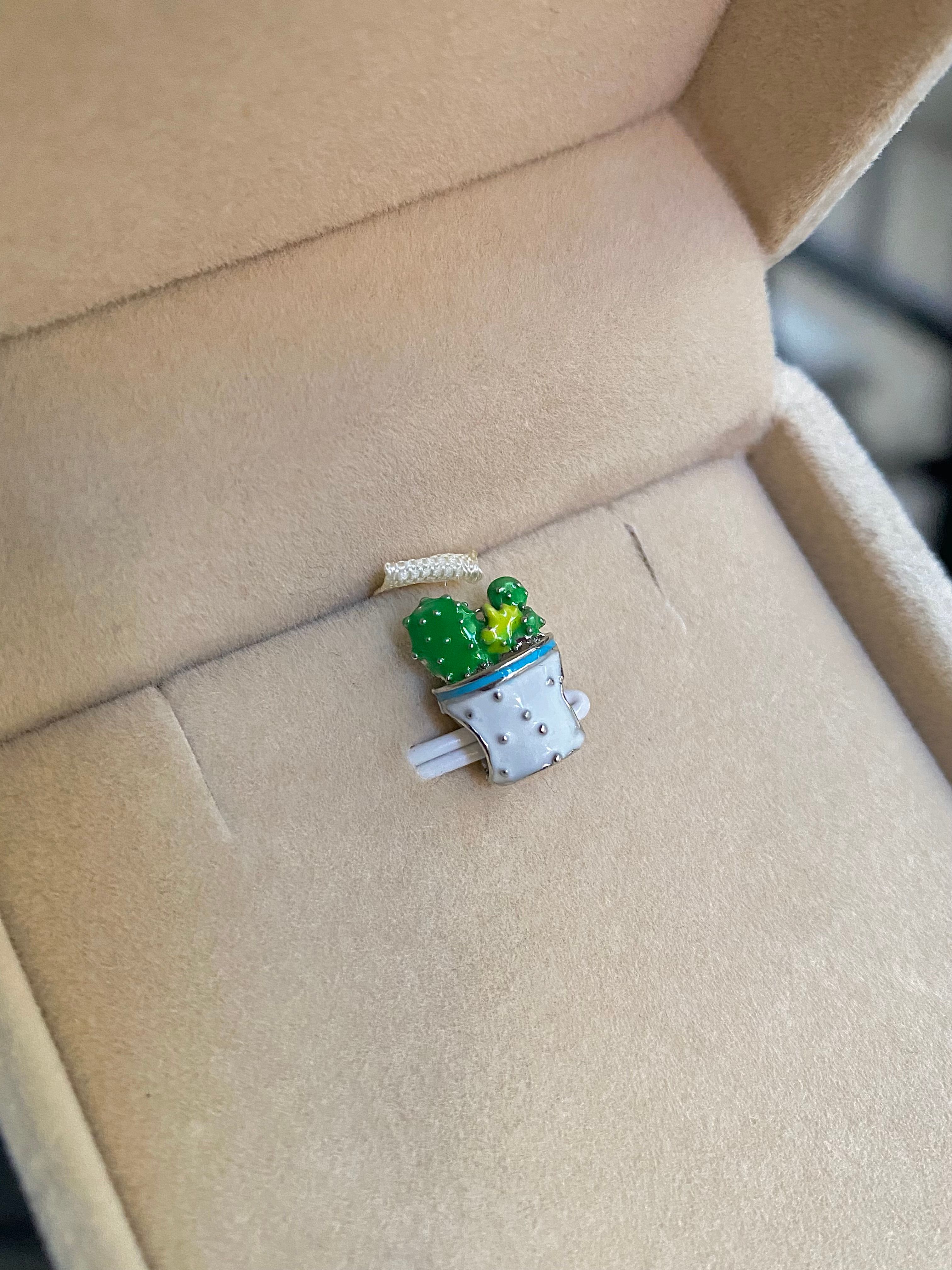 Saksı Kaktüs Charm