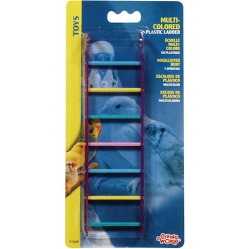 Living World Renkli Kuş Merdiveni