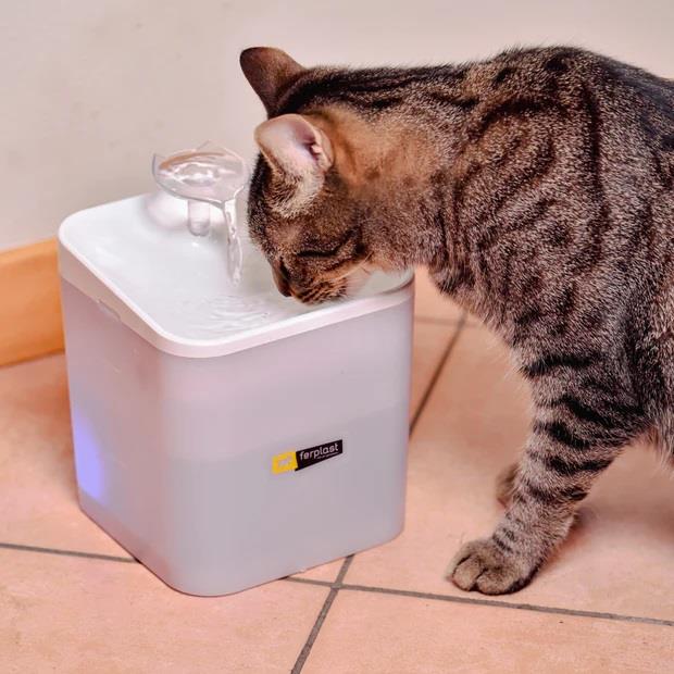 Ferplast Ferplast Ares Otomatik Su Şelalesi  2 Litre