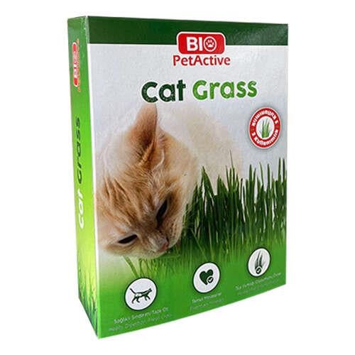 Pet Active Cat Grass Kedi Çimi