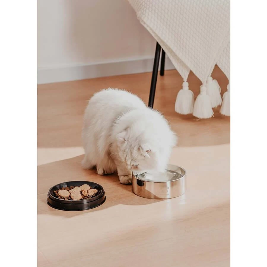 PAWGETHER Metal Mama ve Su Kabı 400 Ml