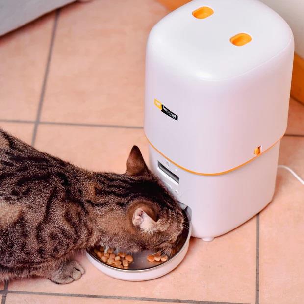 Ferplast Risto Pet Otomatik Mama Kabı 4 Litre