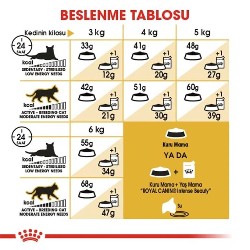 Royal Canine Siamese 38 Kuru Kedi Maması 2 Kg