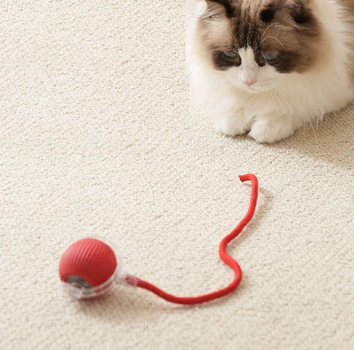 Pet Pretty İnteraktif İpli Kedi Oyuncağı 7 Cm