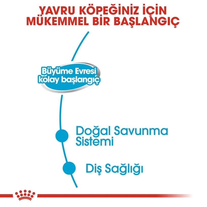 Royal Canin Starter Mousse Yavru Köpek Konservesi 195 Gr