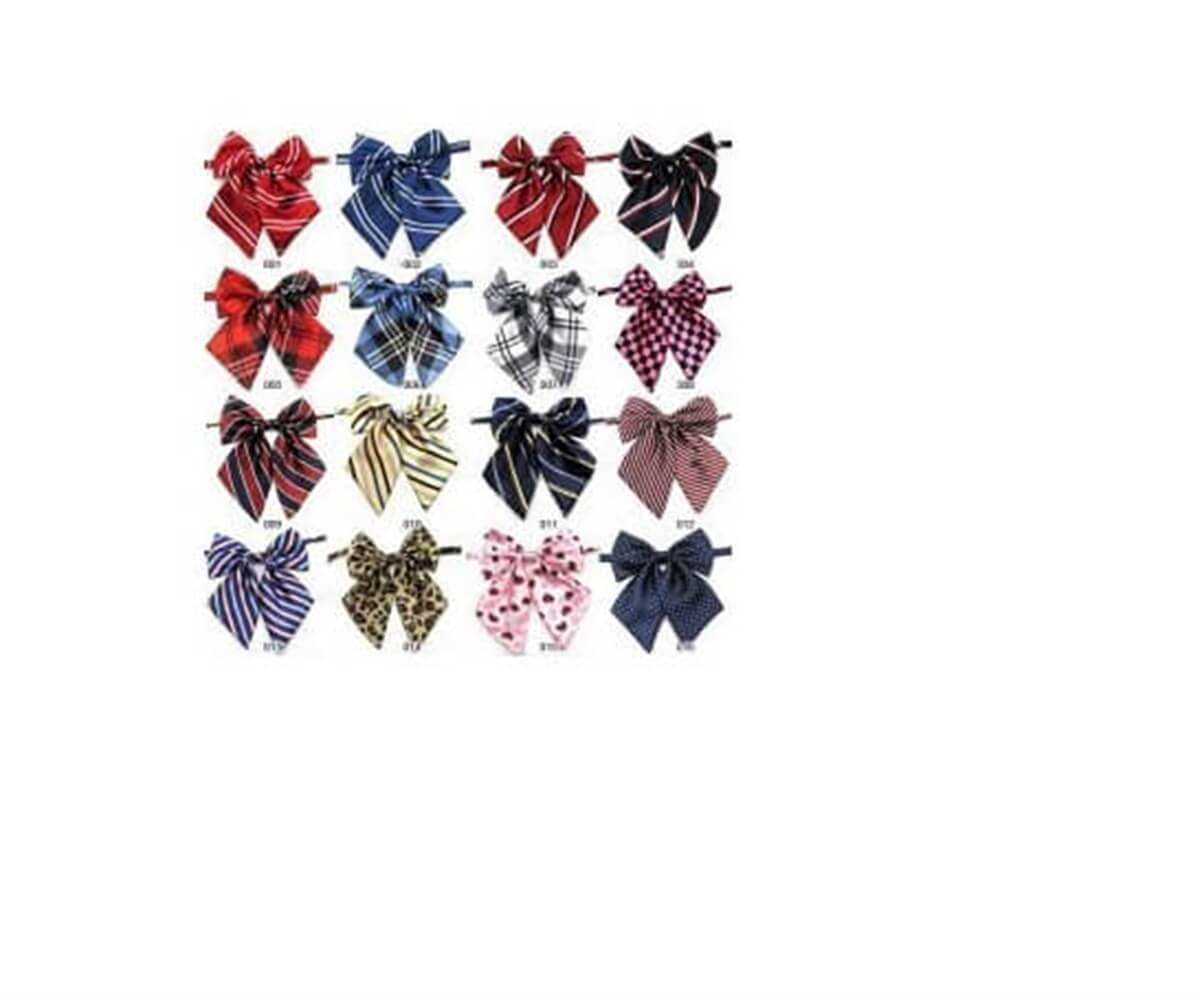 Lionpets Köpek Papyonu 30-40 cm