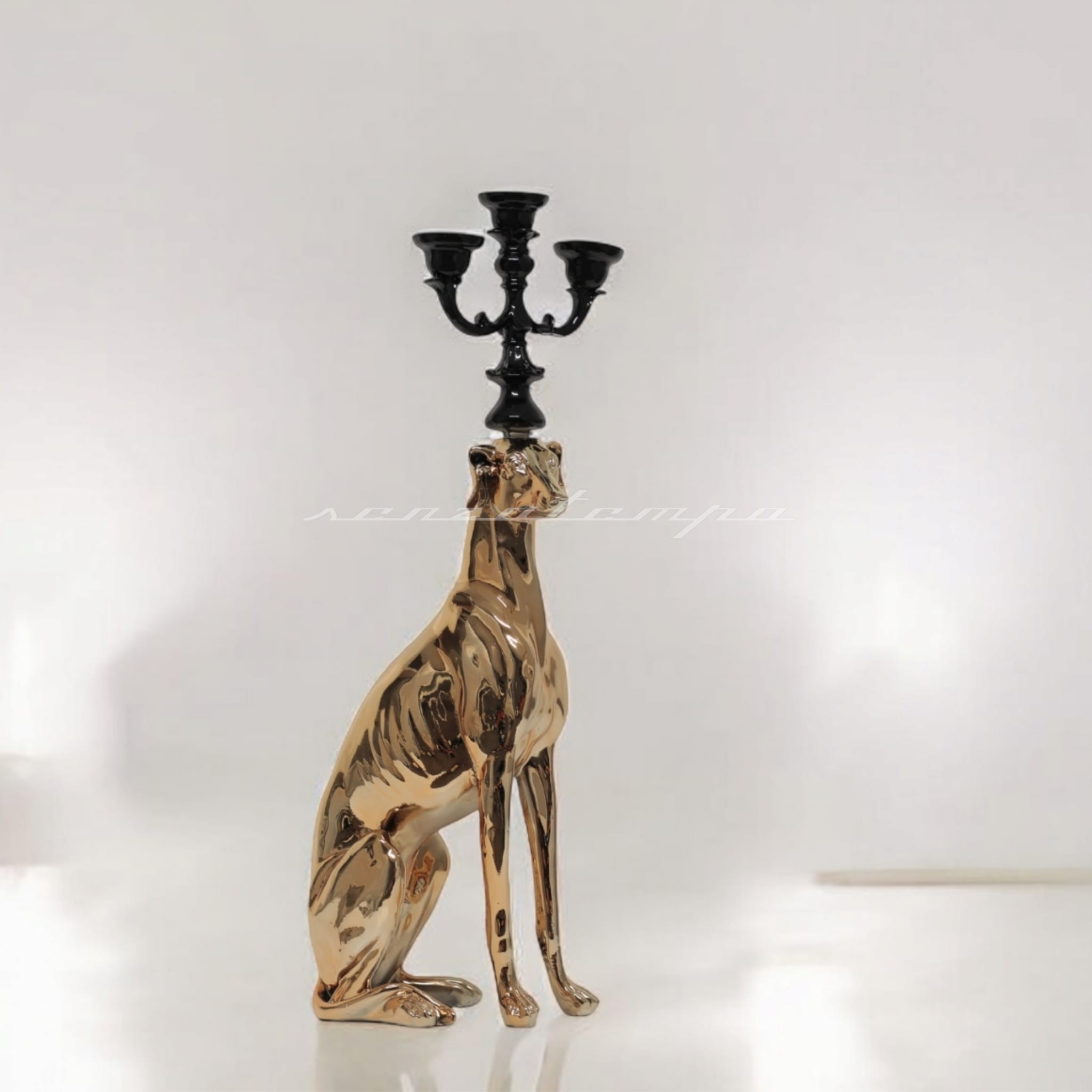 AVİZE KÖPEK
