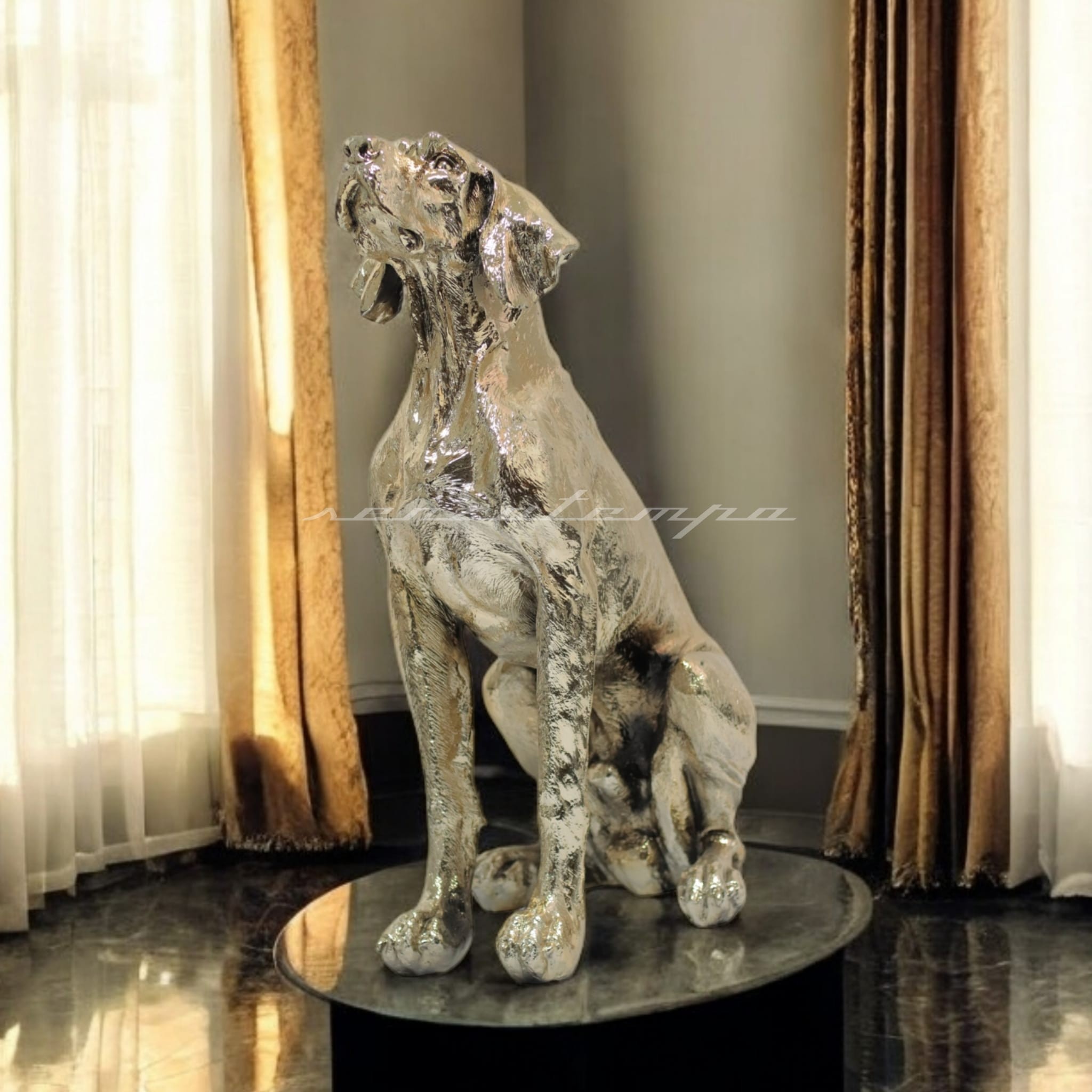 AVCI KÖPEK