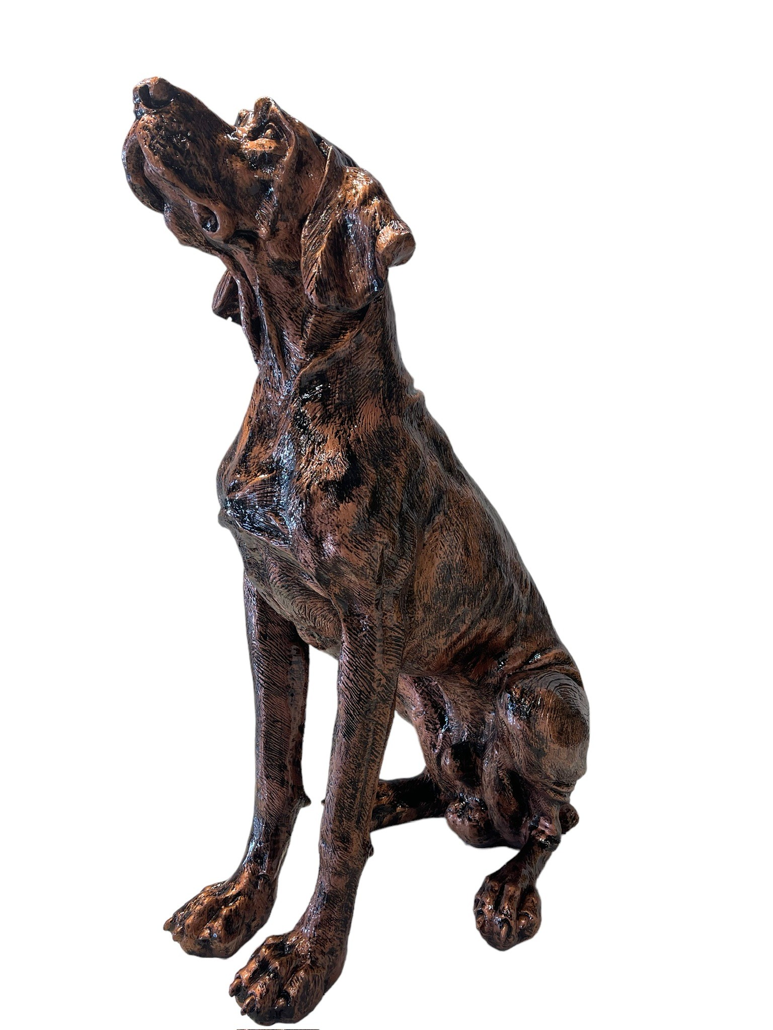 AVCI KÖPEK