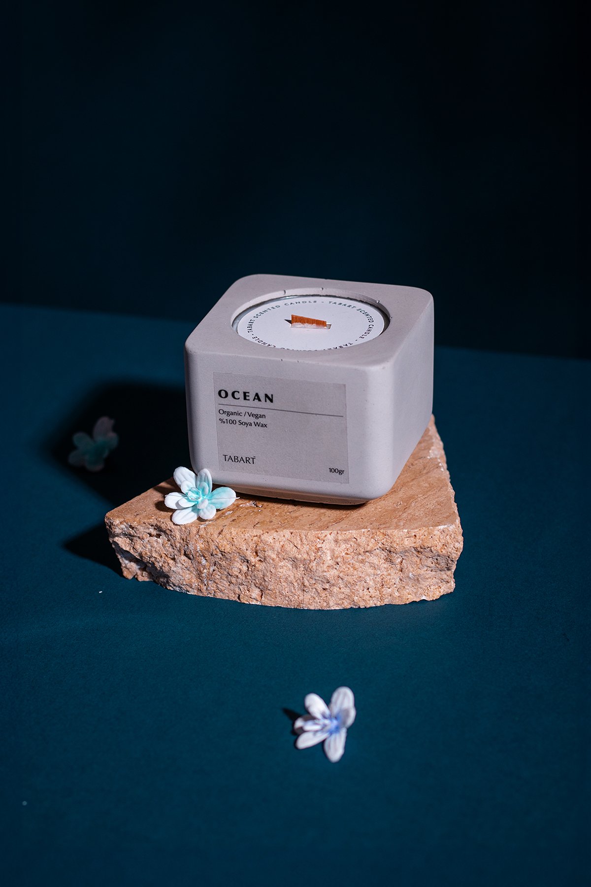 Tabart %100 Soya Wax Organik Beton Mum & Saksı - Ocean
