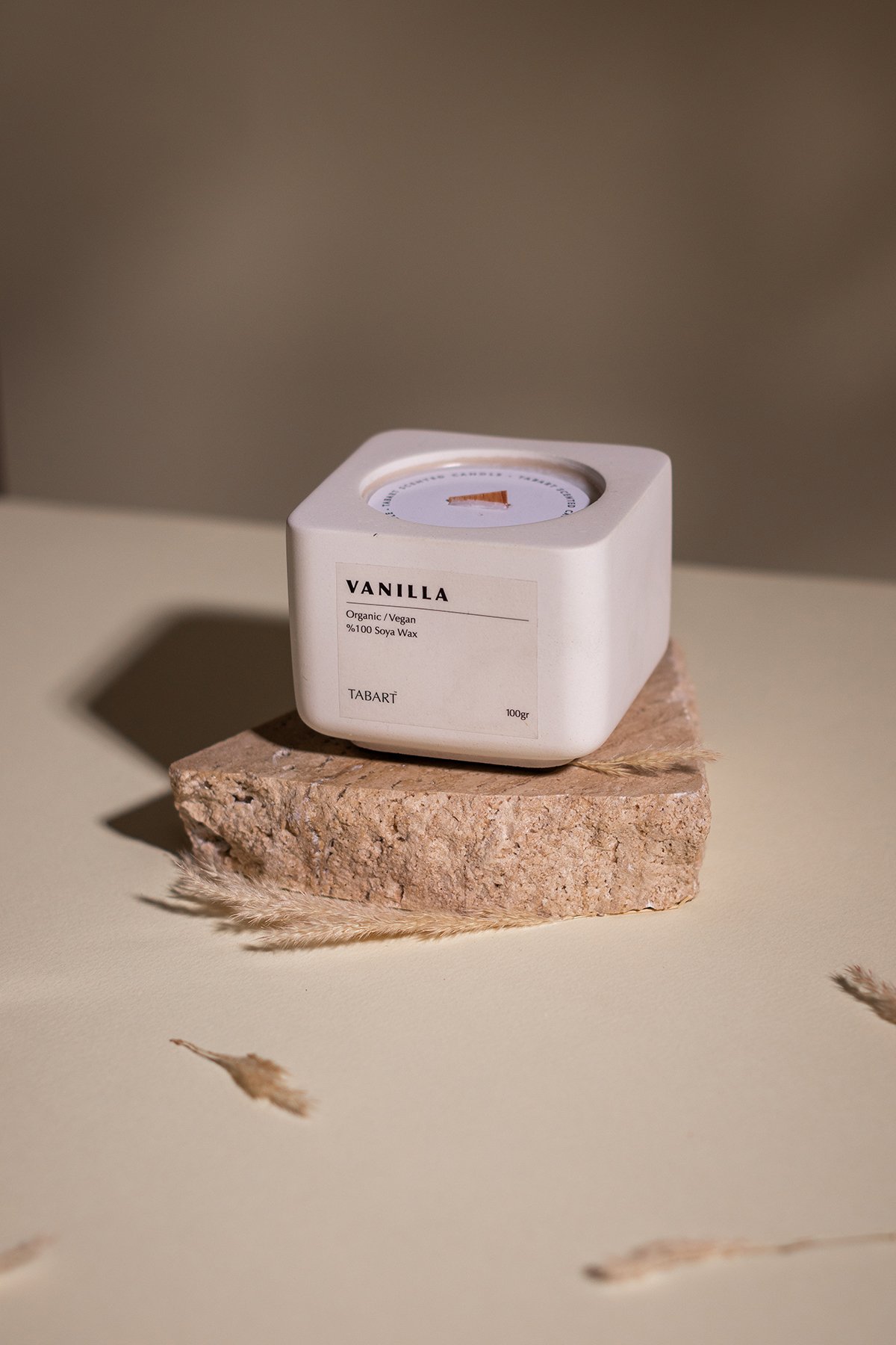 Tabart %100 Soya Wax Organik Beton Mum & Saksı - Vanilla