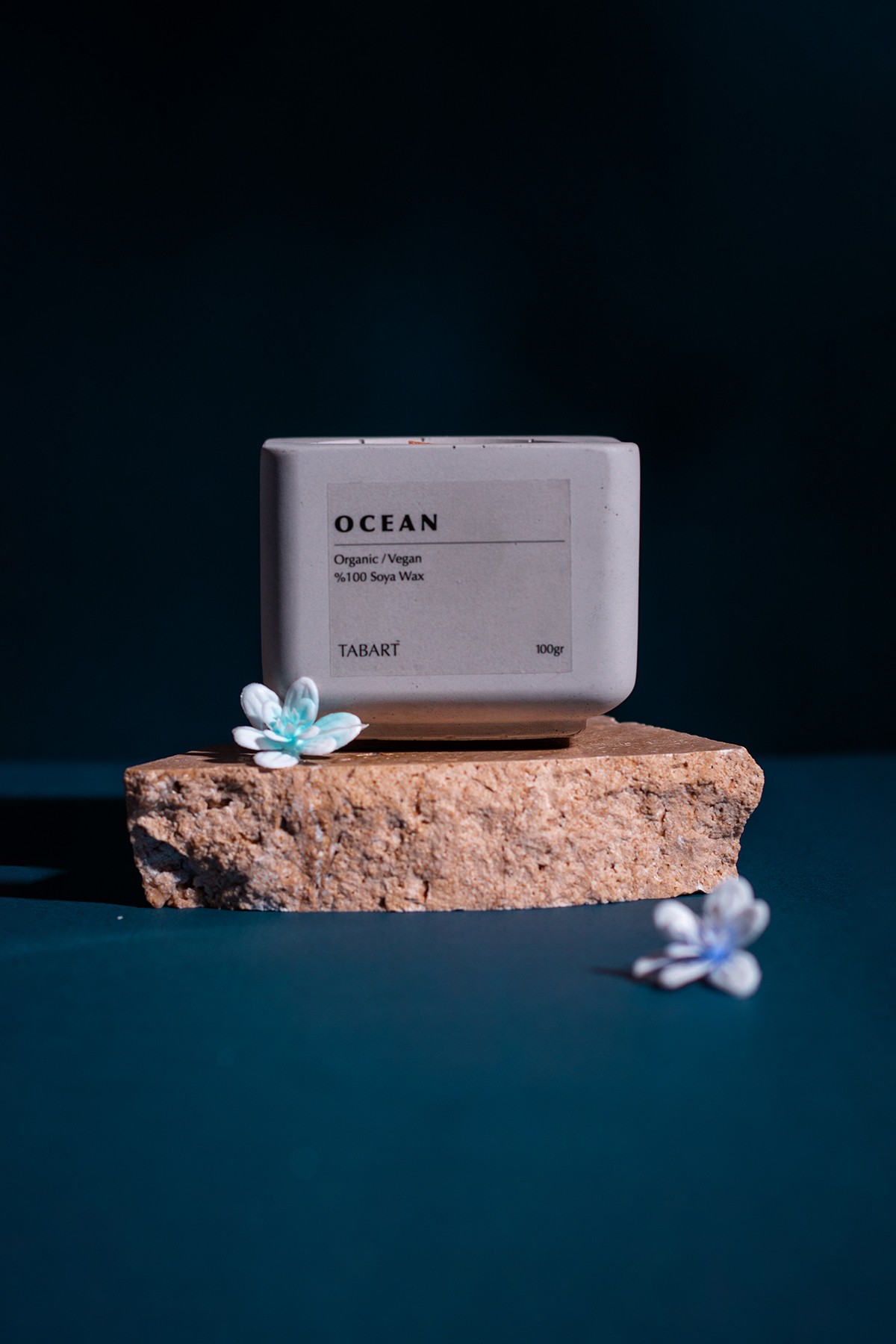Tabart %100 Soya Wax Organik Beton Mum & Saksı - Ocean