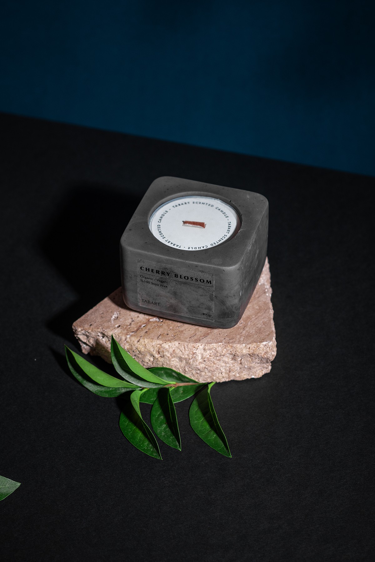 Tabart %100 Soya Wax Organik Beton Mum & Saksı - Chery Blossom