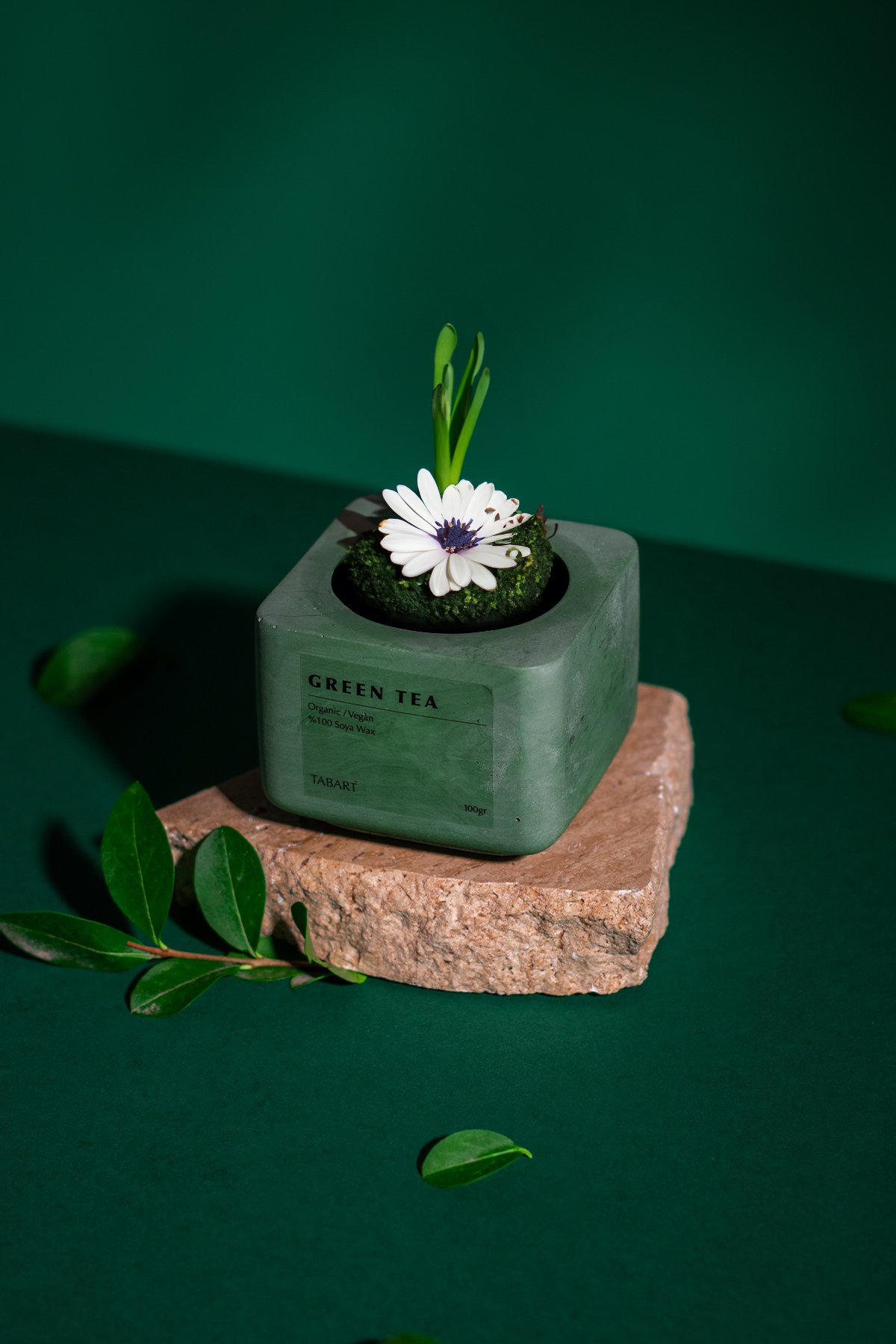 Tabart %100 Soya Wax Organik Beton Mum & Saksı - Green Tea