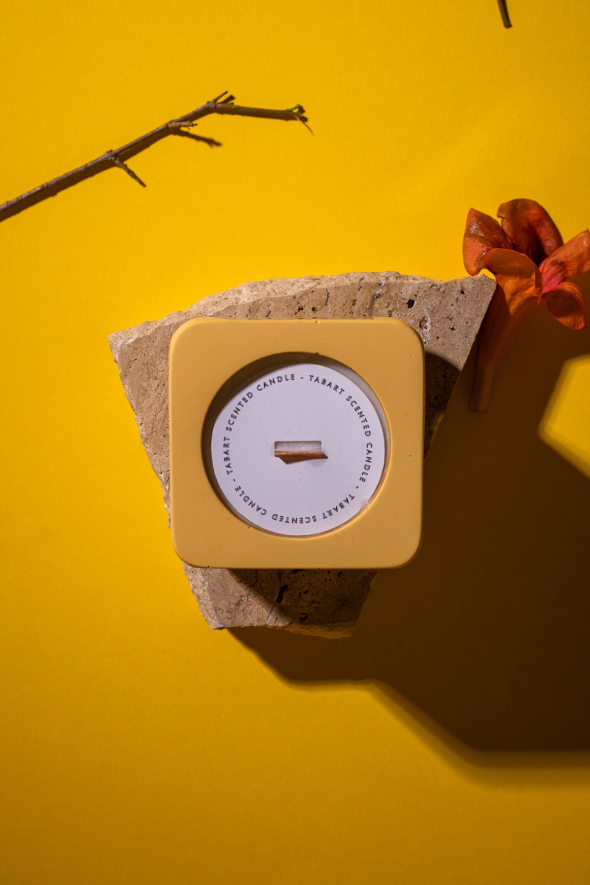 Tabart %100 Soya Wax Organik Beton Mum & Saksı - Jasmine