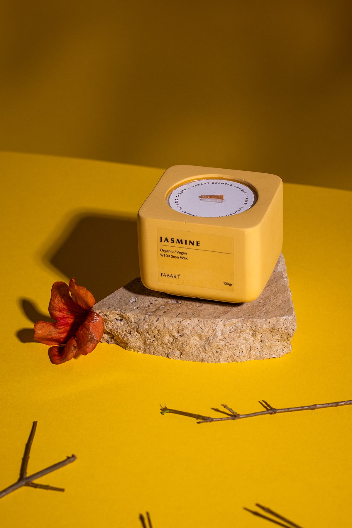 Tabart %100 Soya Wax Organik Beton Mum & Saksı - Jasmine