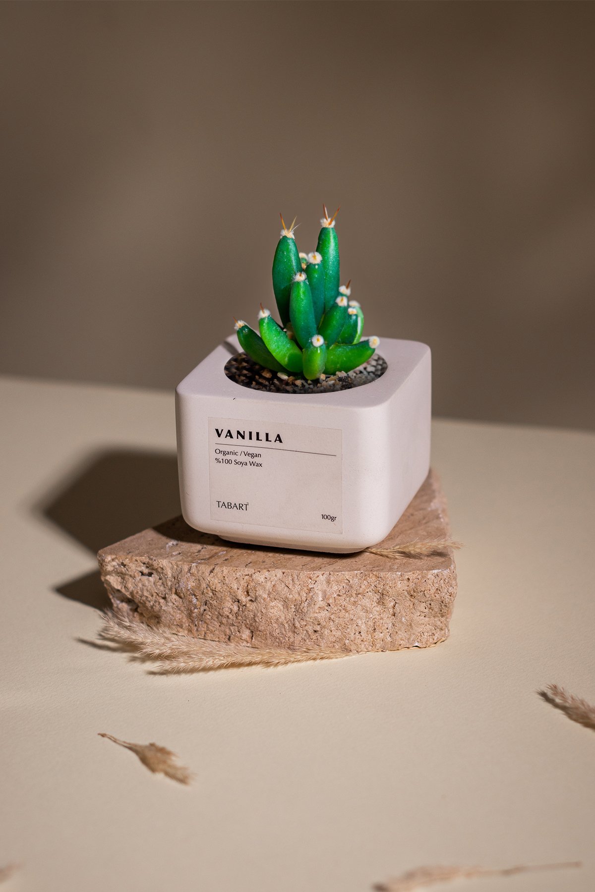 Tabart %100 Soya Wax Organik Beton Mum & Saksı - Vanilla