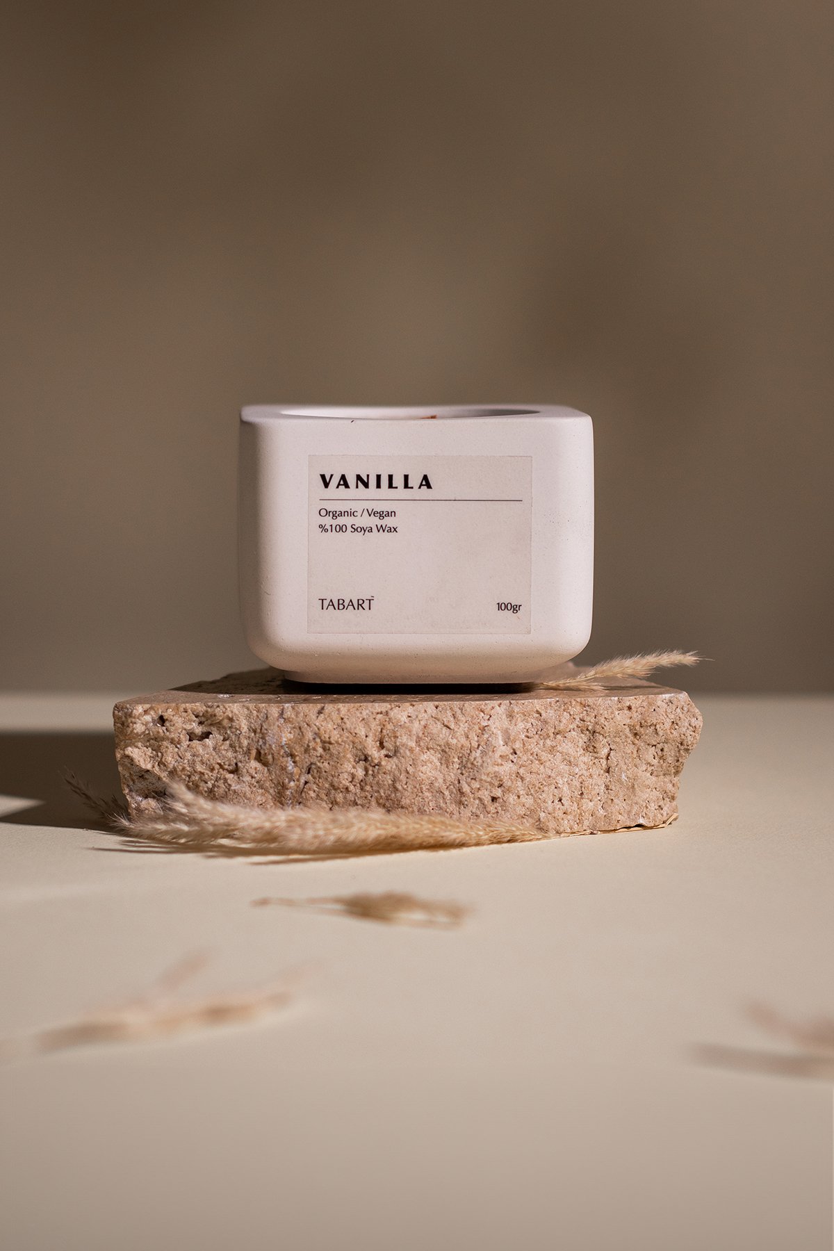 Tabart %100 Soya Wax Organik Beton Mum & Saksı - Vanilla