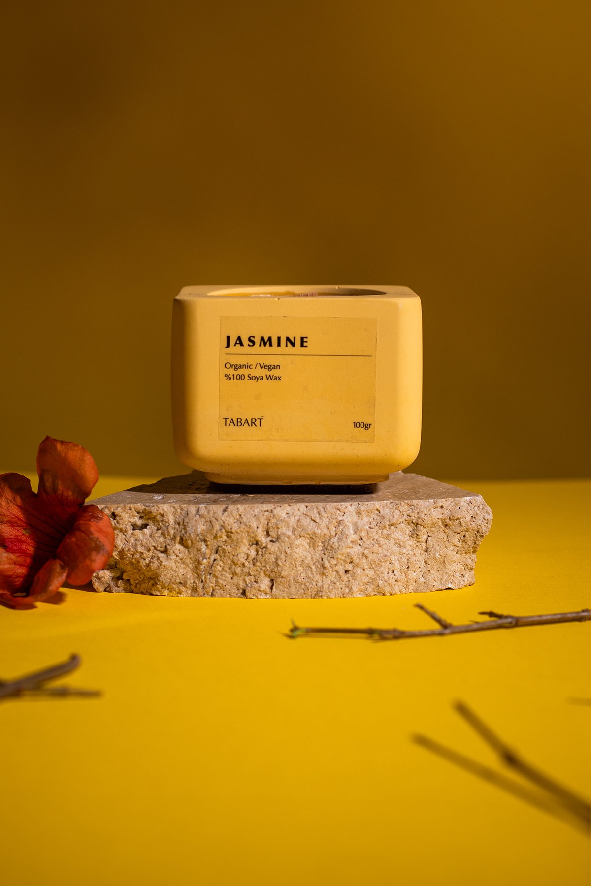 Tabart %100 Soya Wax Organik Beton Mum & Saksı - Jasmine