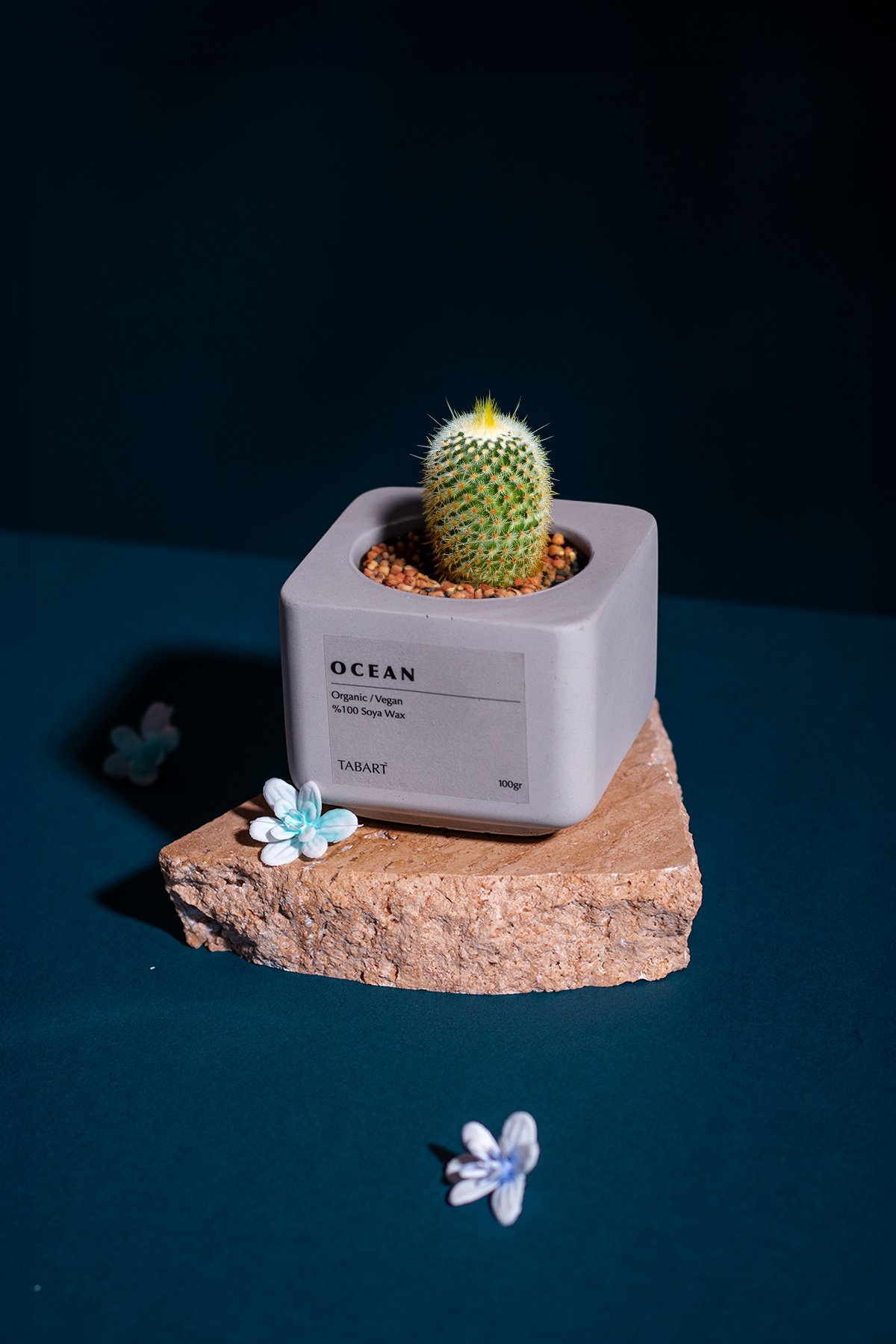 Tabart %100 Soya Wax Organik Beton Mum & Saksı - Ocean