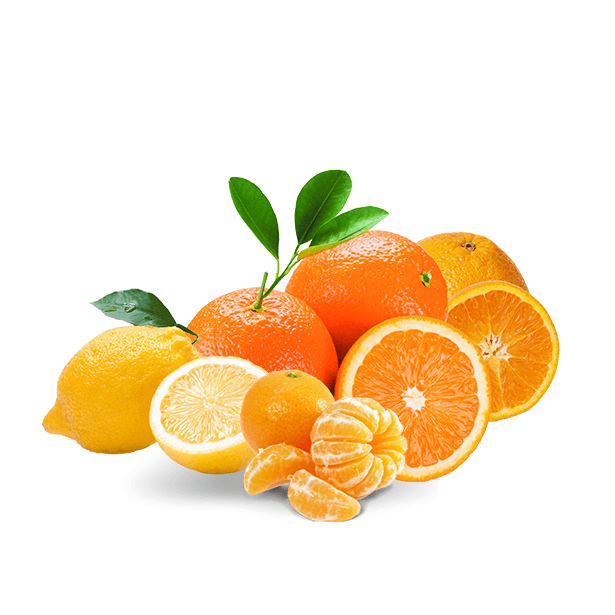 Tatlı Paket 5 KG