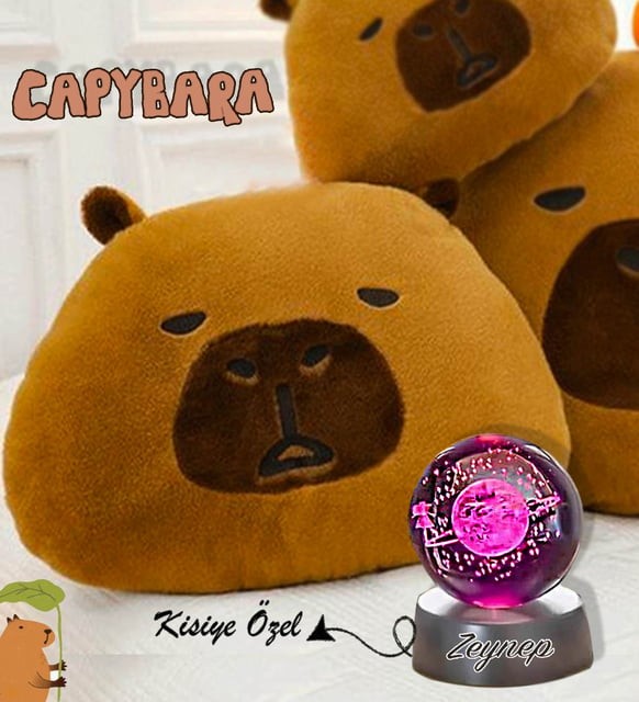 Kişiye Özel Fotoğraflı Kapibara Capybara Polar Yastık & 3D Satürn Kız Samanyolu Işıklı Kristal Küre