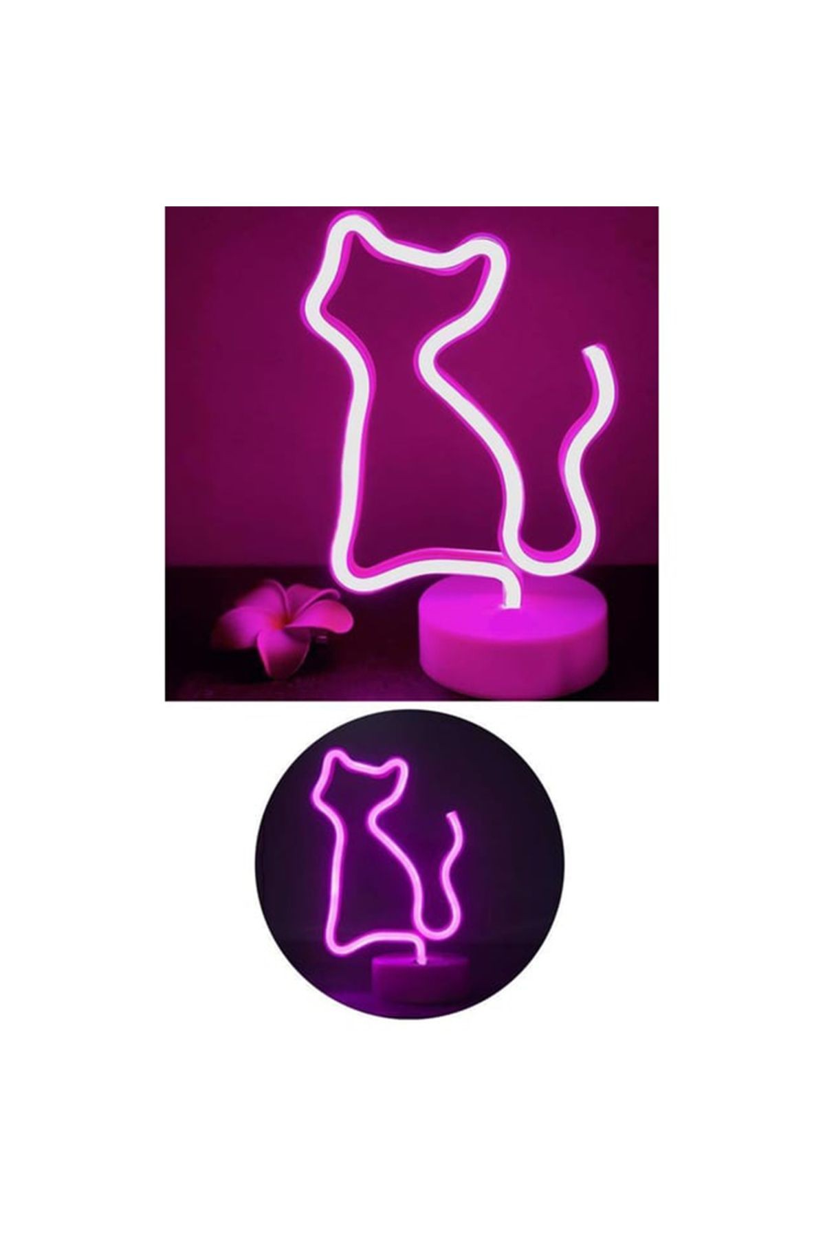 Neon Led Lamba Kedi Led Işıklı Lamba Pilli Masa Lambası