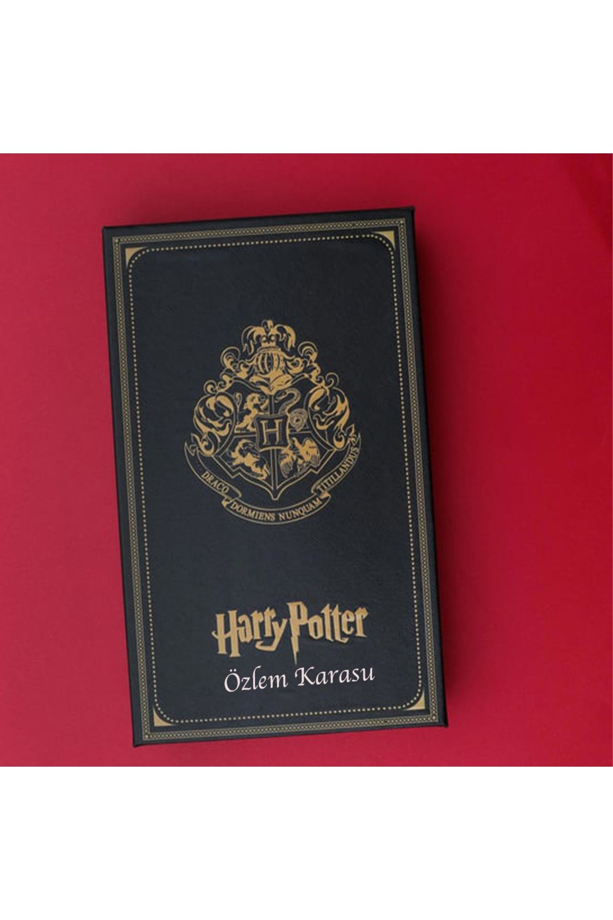 Harry Potter Divit Tüylü Figür Anahatarlı Hediyelik Kalem Seti-Yeşil