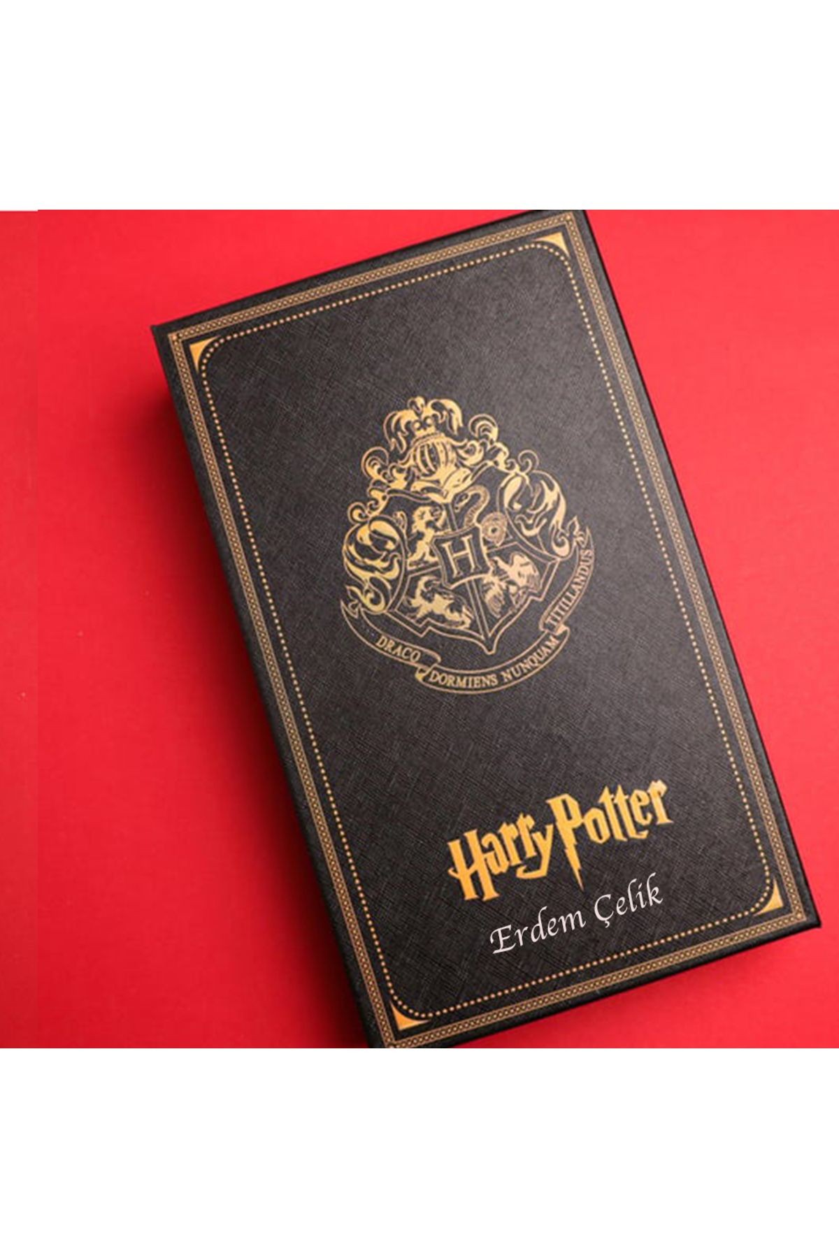 Harry Potter Divit Tüylü Figür Anahatarlı Hediyelik Kalem Seti