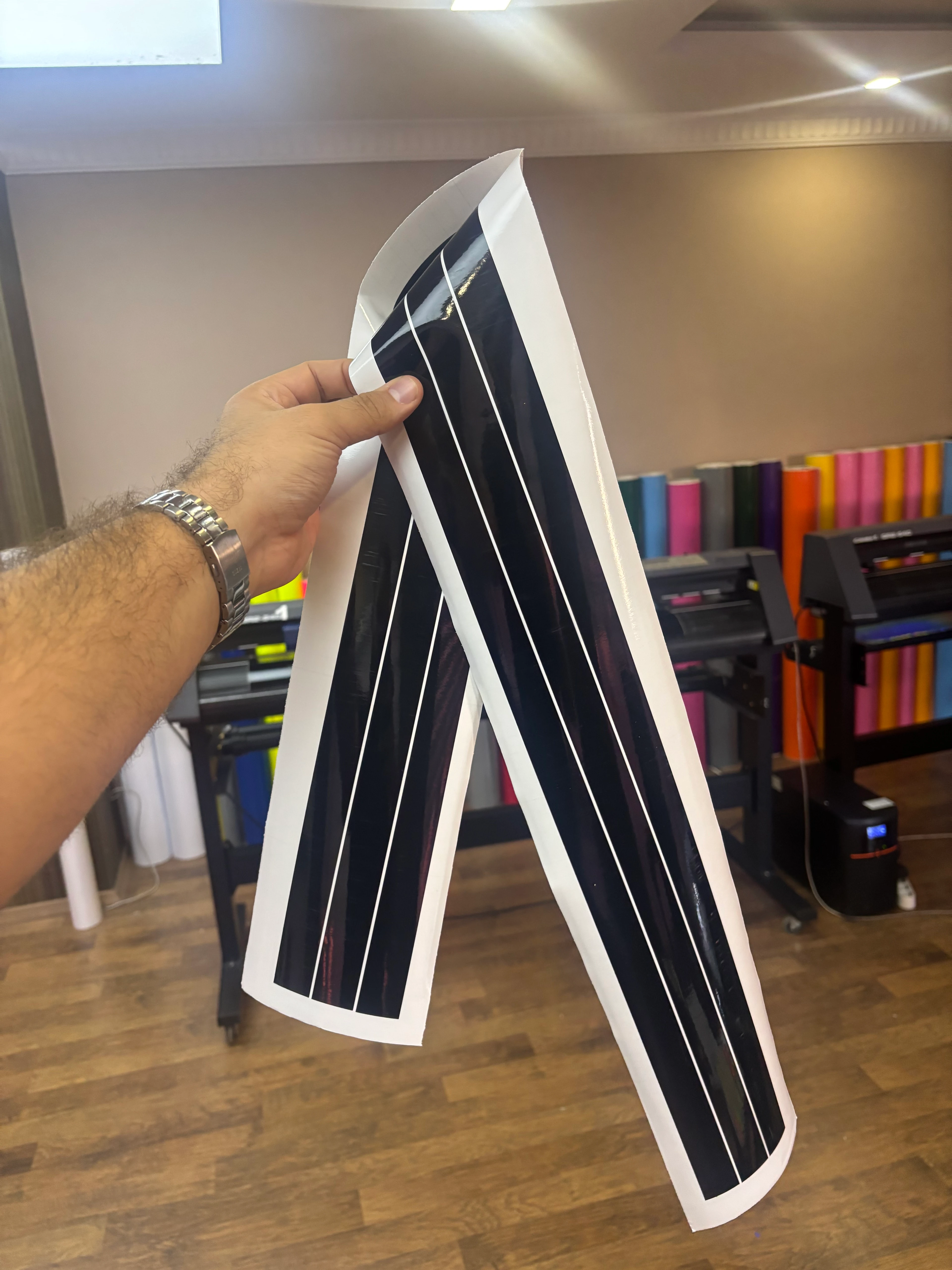 TVS Raider için Depoya Uyumlu Kalın Detay Şeritler 