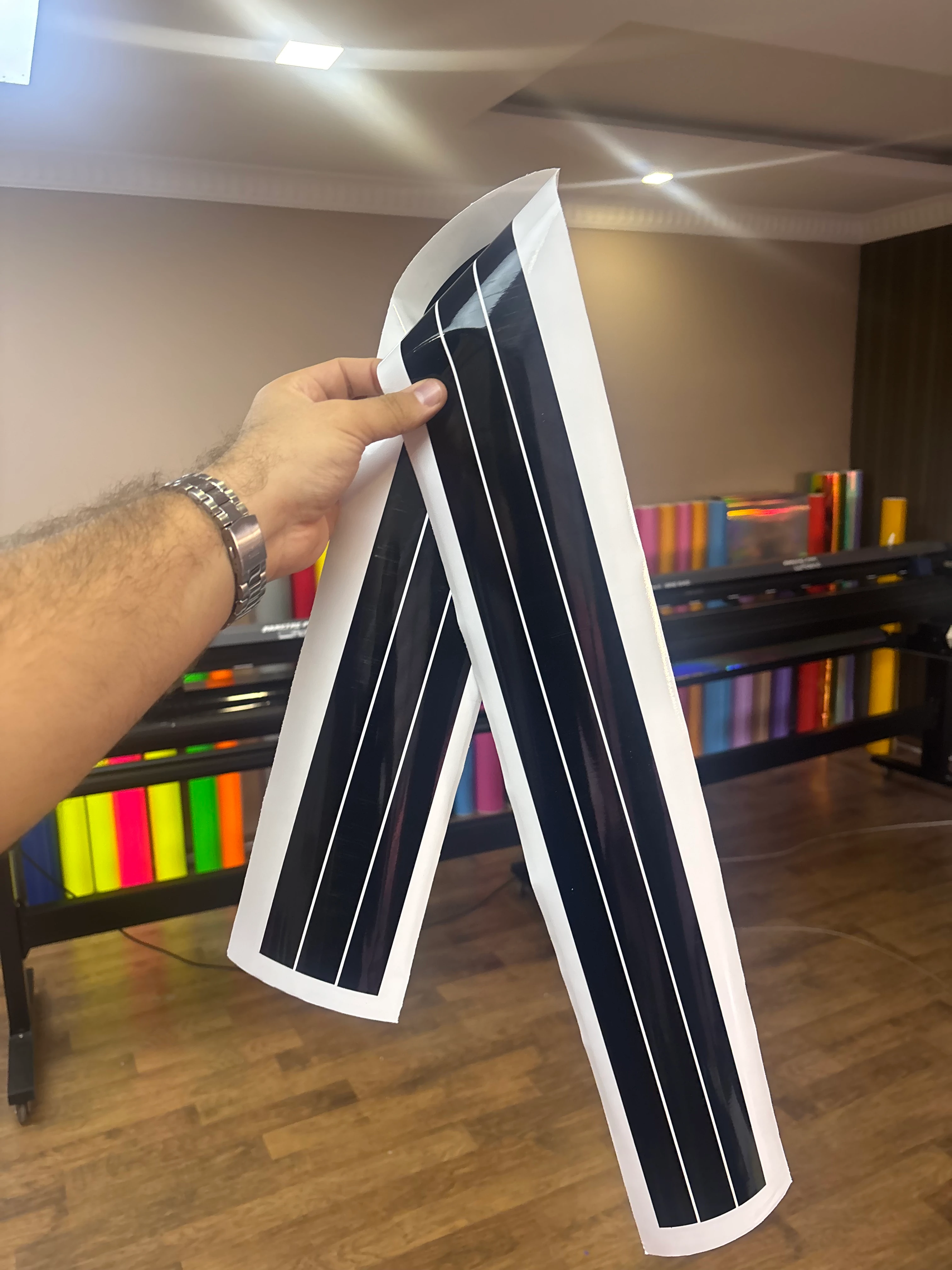 TVS Raider için Depoya Uyumlu Kalın Detay Şeritler 