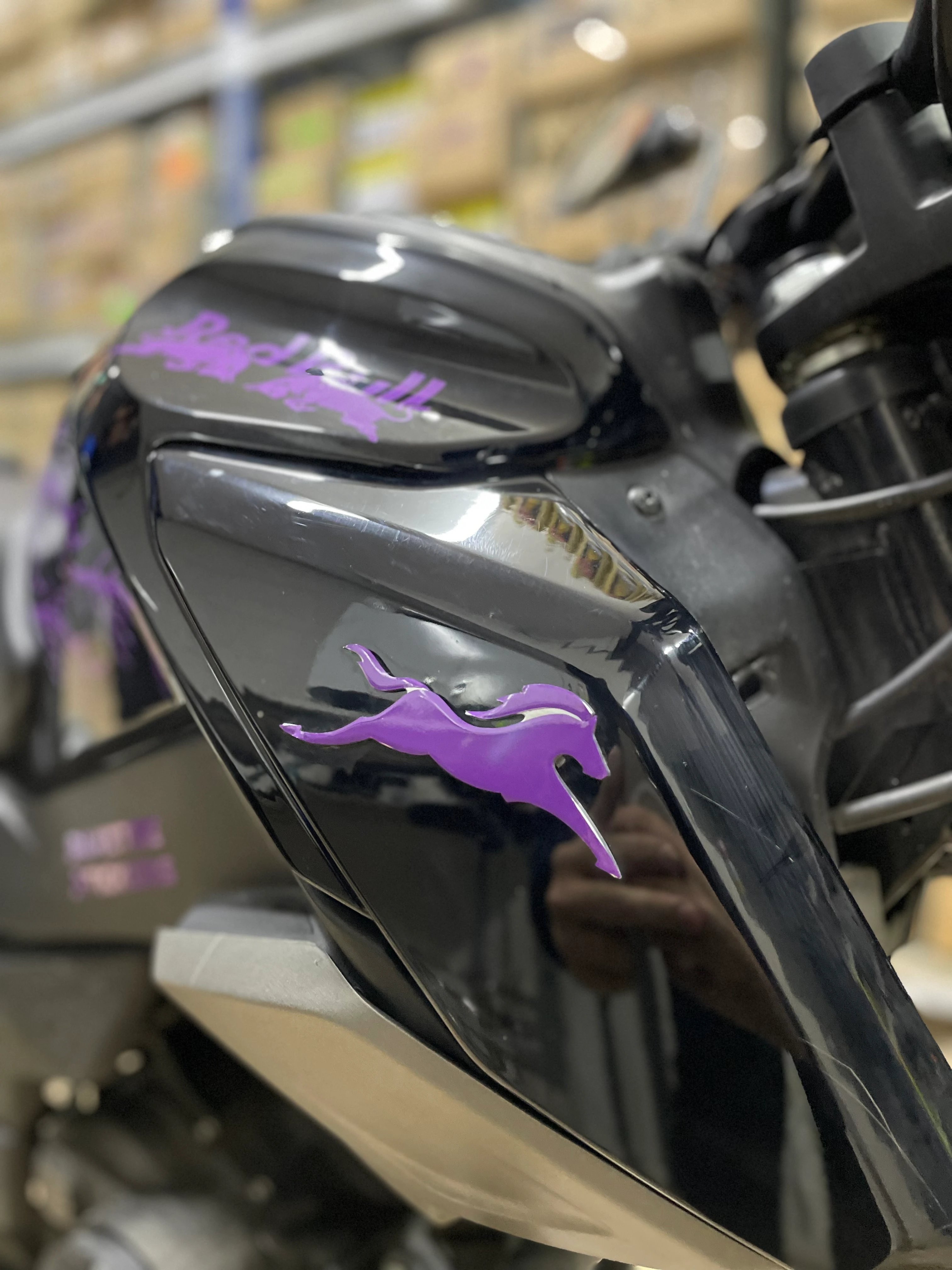 TVS Raider ve RTR  için Mor Renk At Sticker Etiket (Sağ ve Sol)