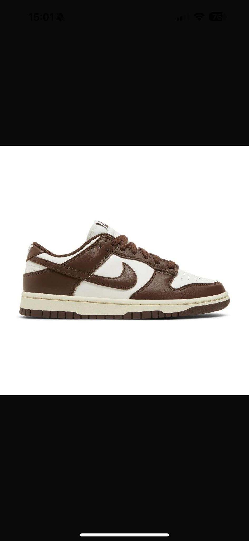 Nike Dunk Brown 