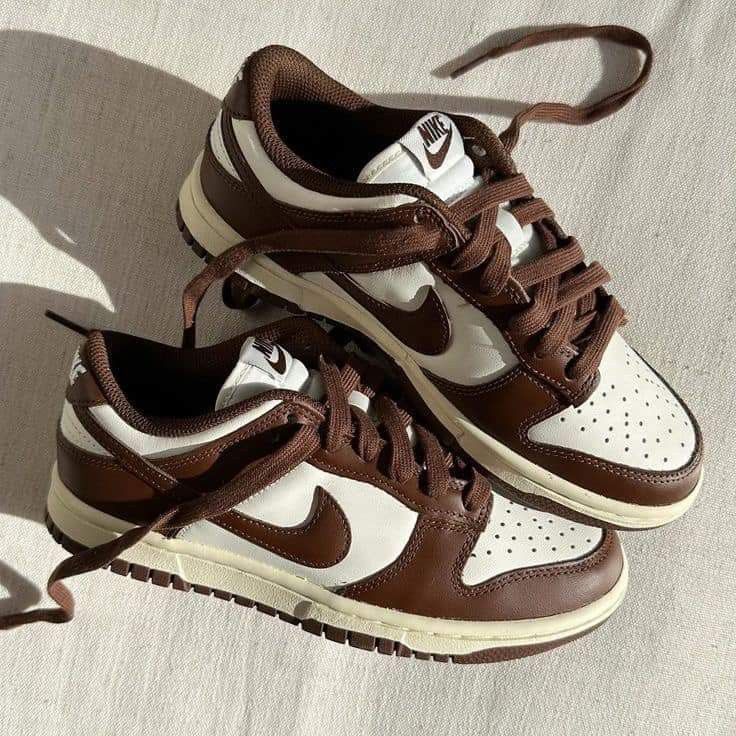 Nike Dunk Brown 