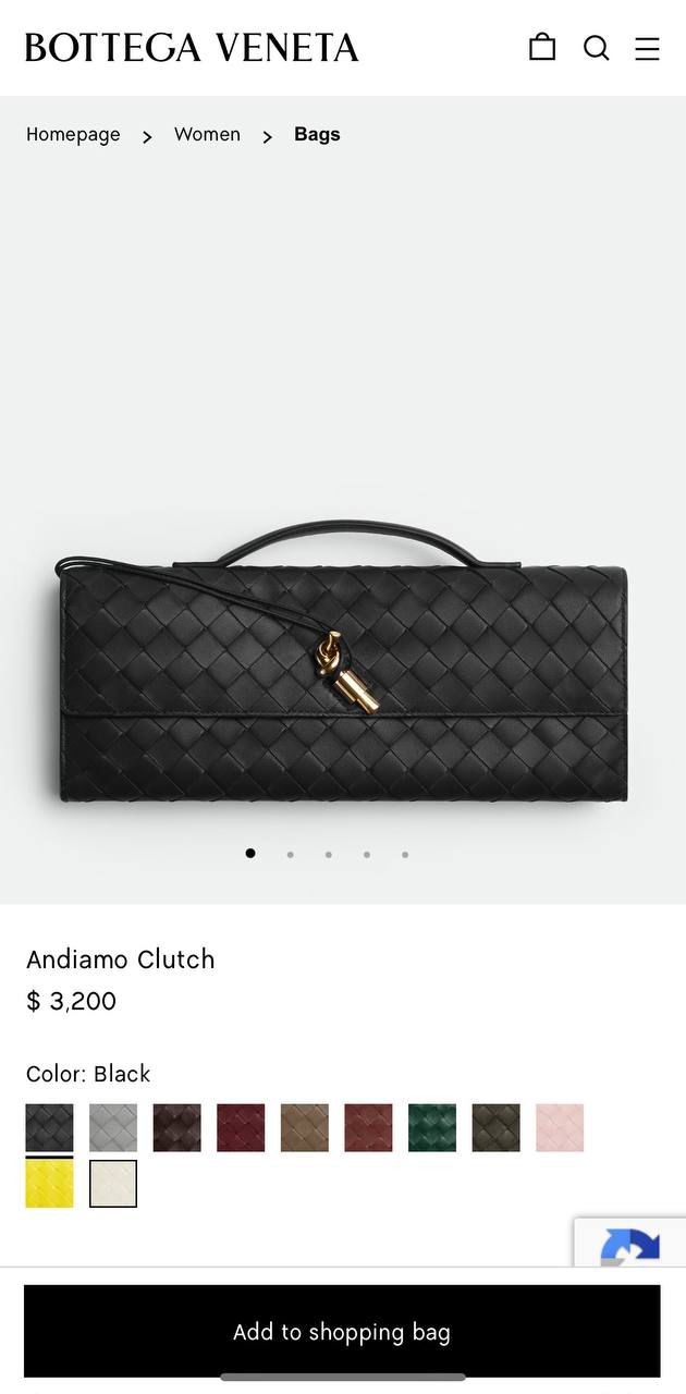 Bottega Veneta Andiamo Clutch ( Premium )