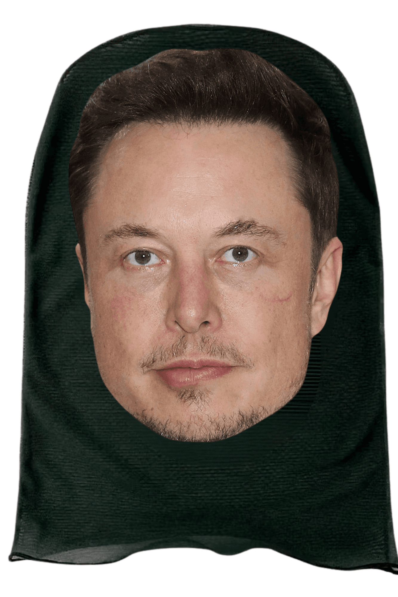 Elon Musk Mask