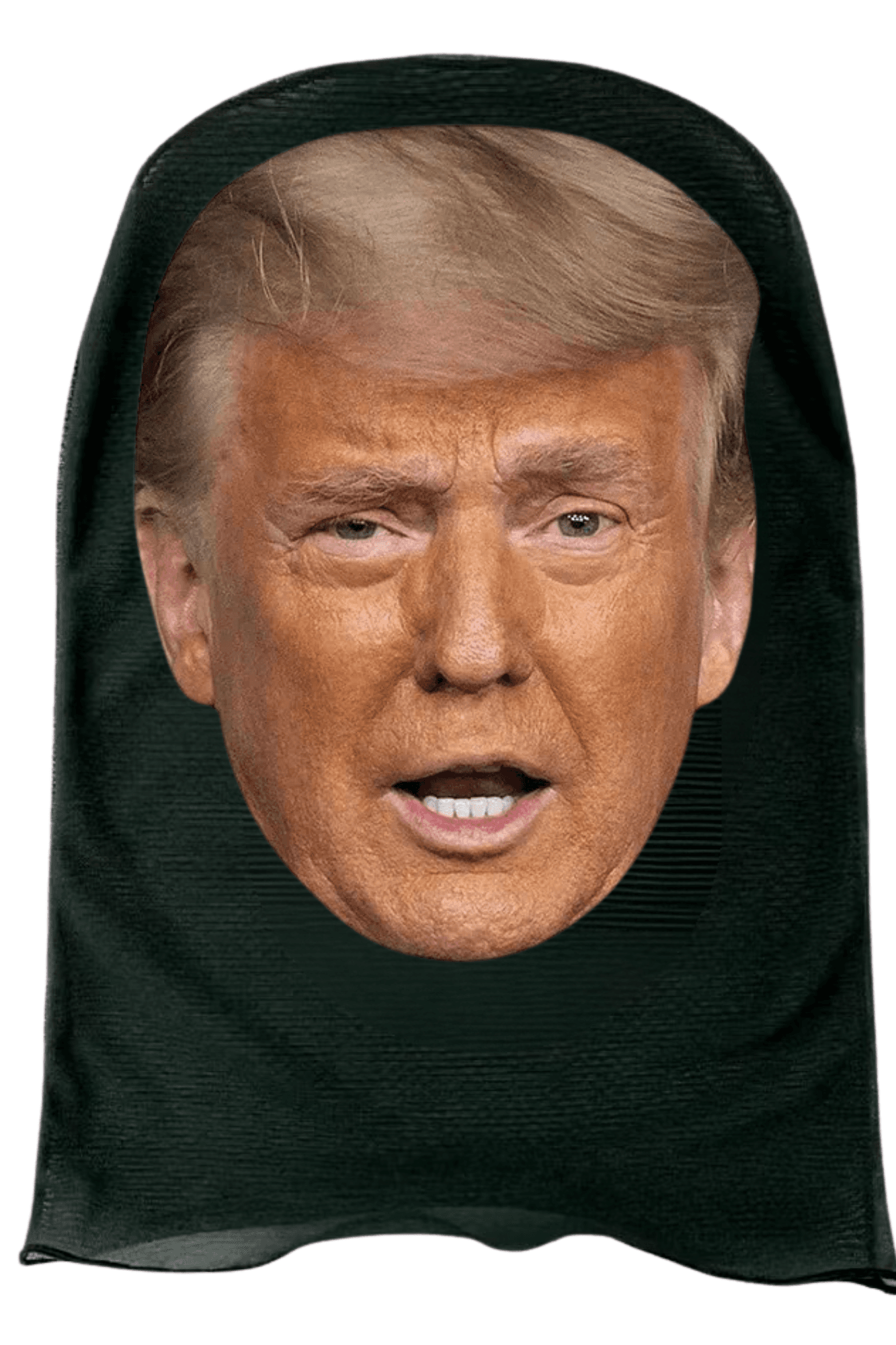 Donald Trump Mask