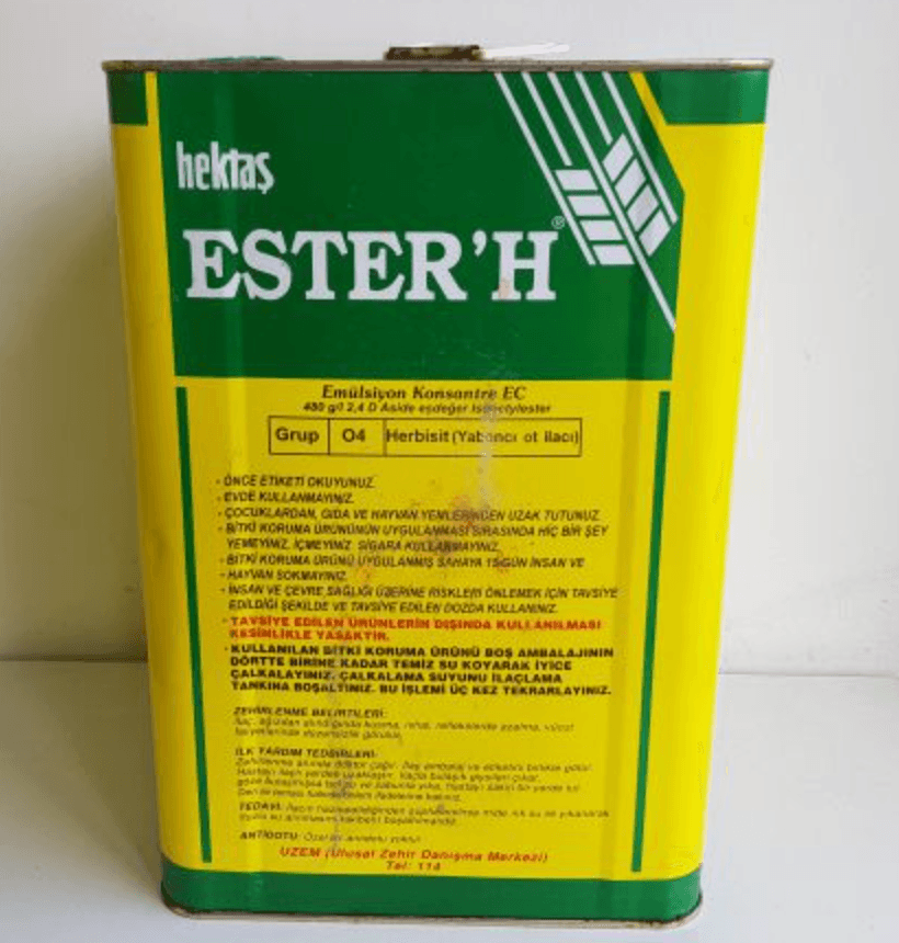 ESTER'H